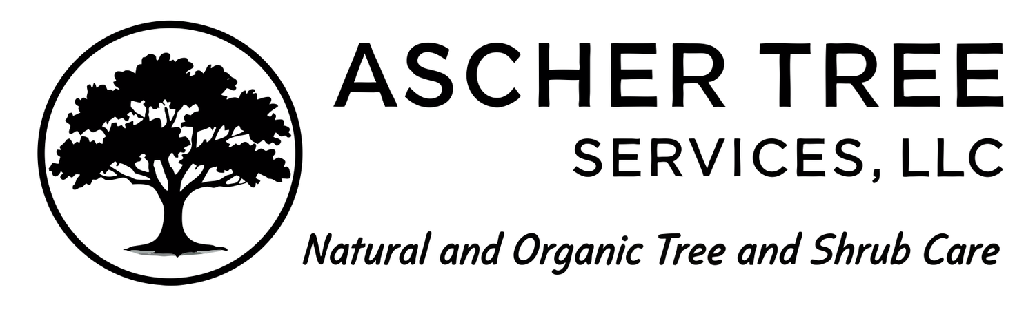 Natural and Organic Tree and Shrub Care