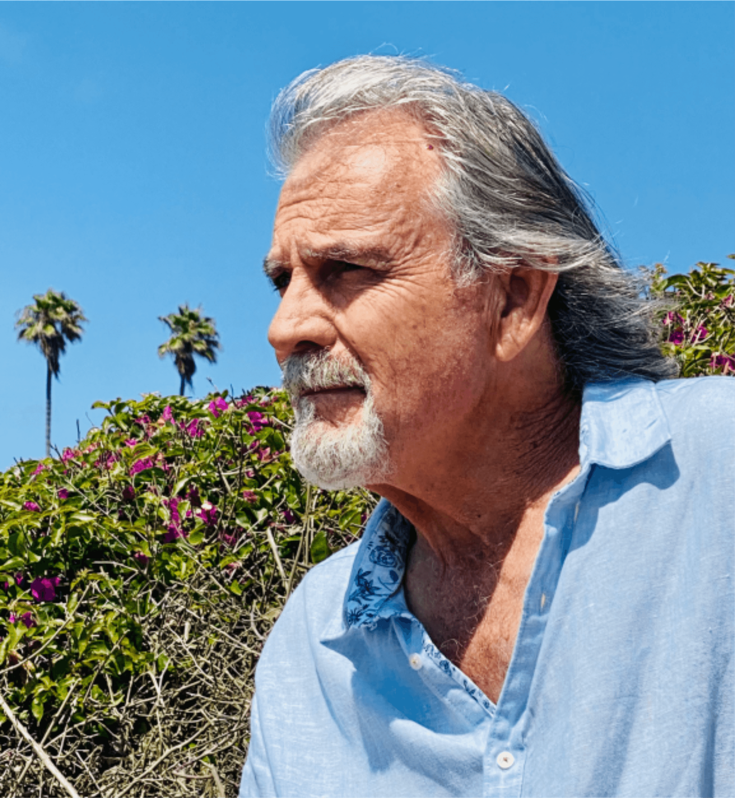 A man with gray hair and a beard looking to the side, wearing a light blue button-up shirt, outdoors with pink flowers and palm trees in the background under a blue sky.