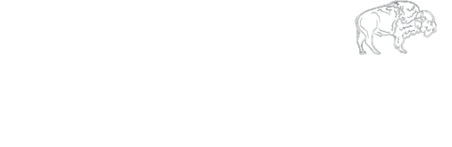 Yukon Chiropractic Logo