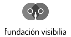 Logo of Fundación Visbilla, featuring a stylized owl face within a gray circle and the organization’s name beneath.