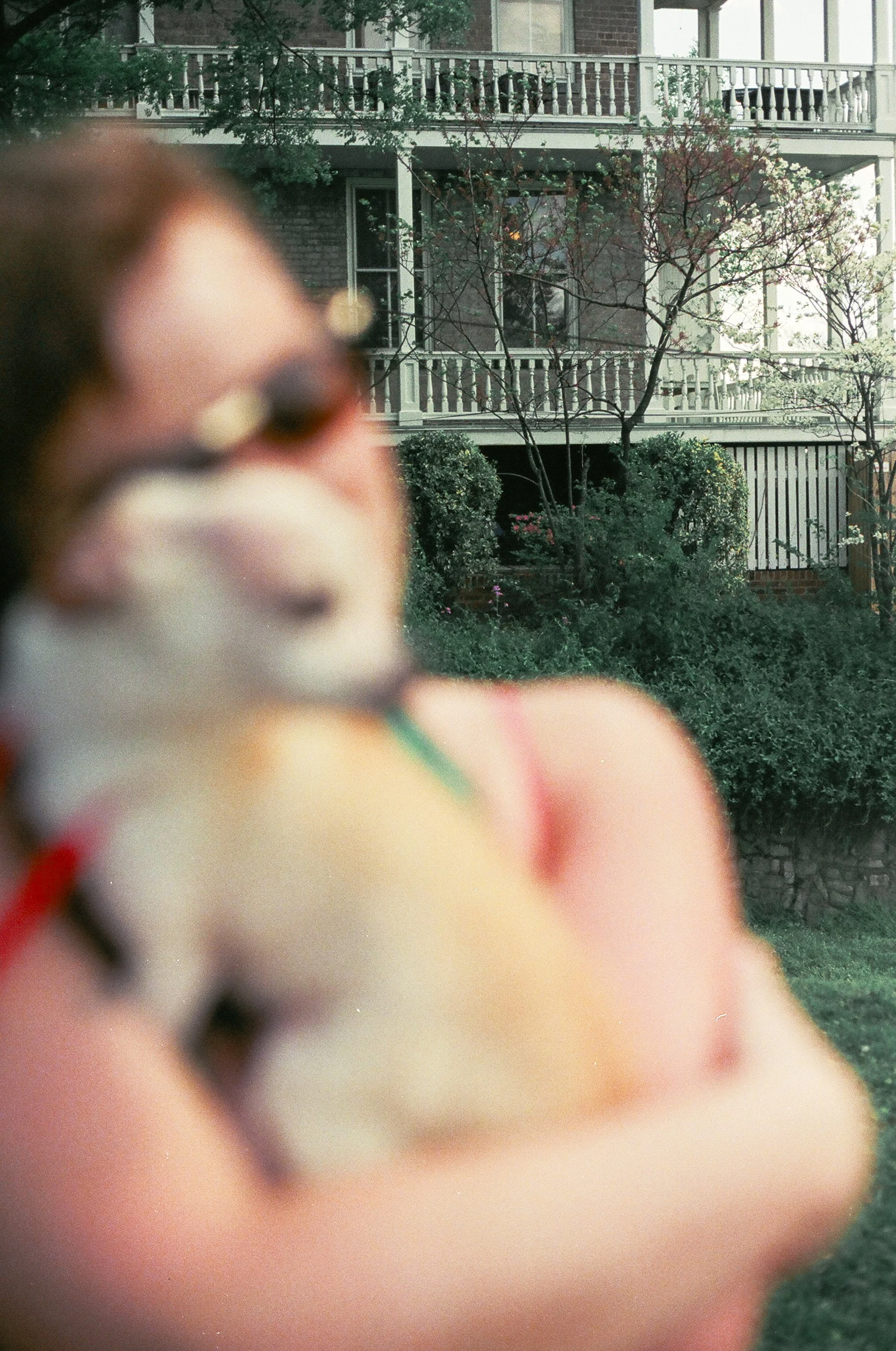 newtlefilm-45180004.jpg