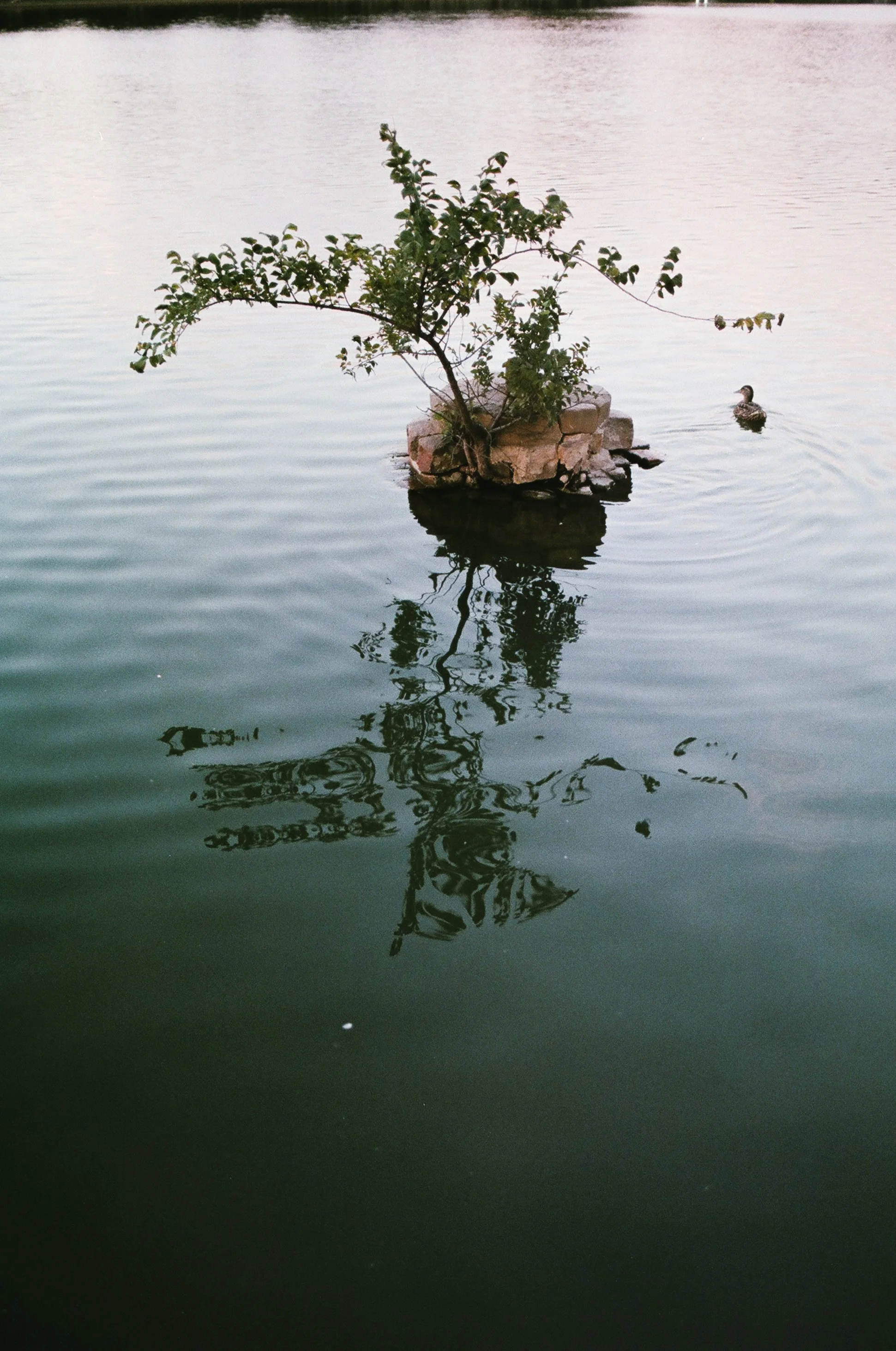 RVA-August-Film-77270031.JPG