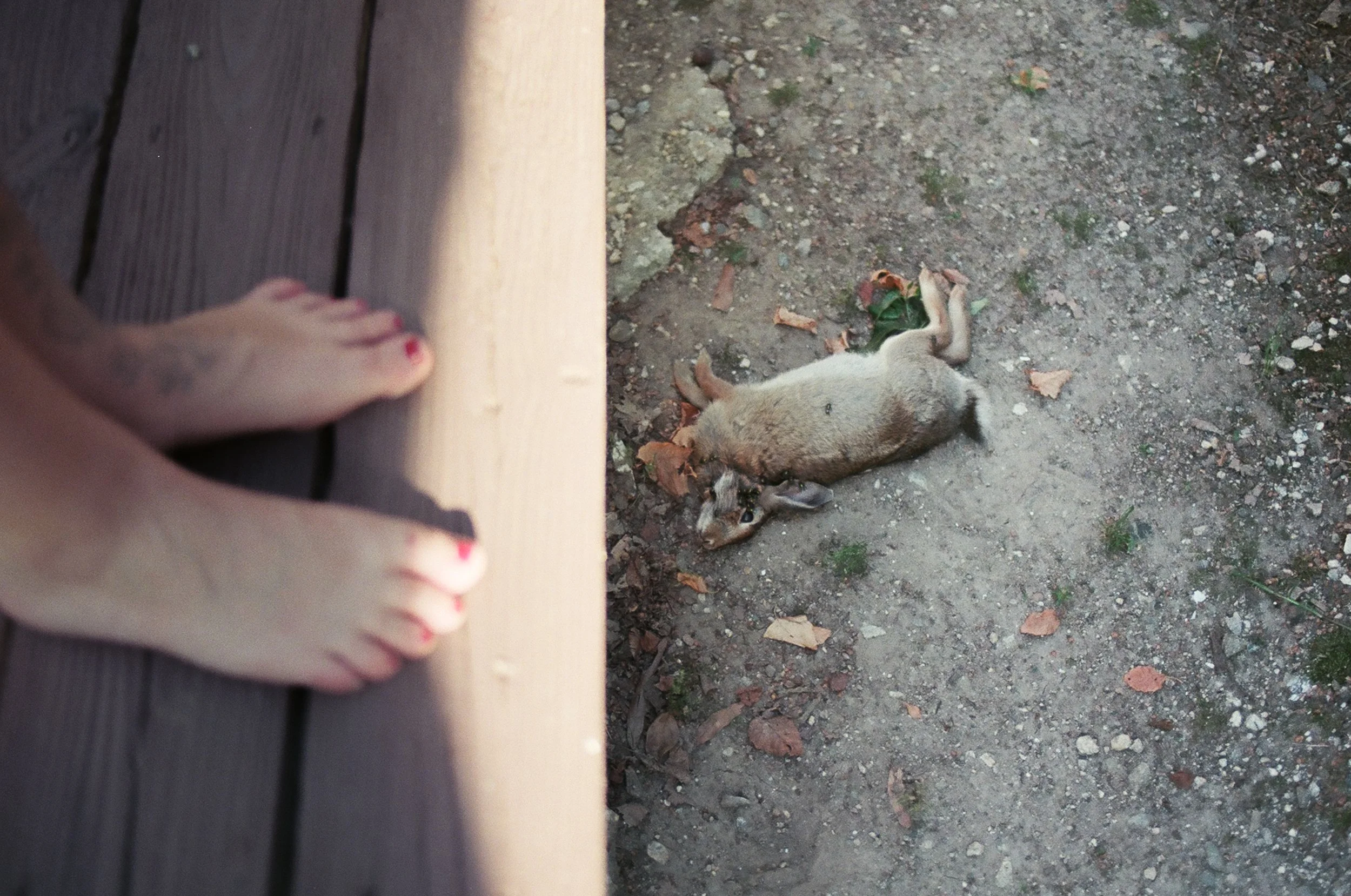 RVA-NYC-FILM-60780018.JPG