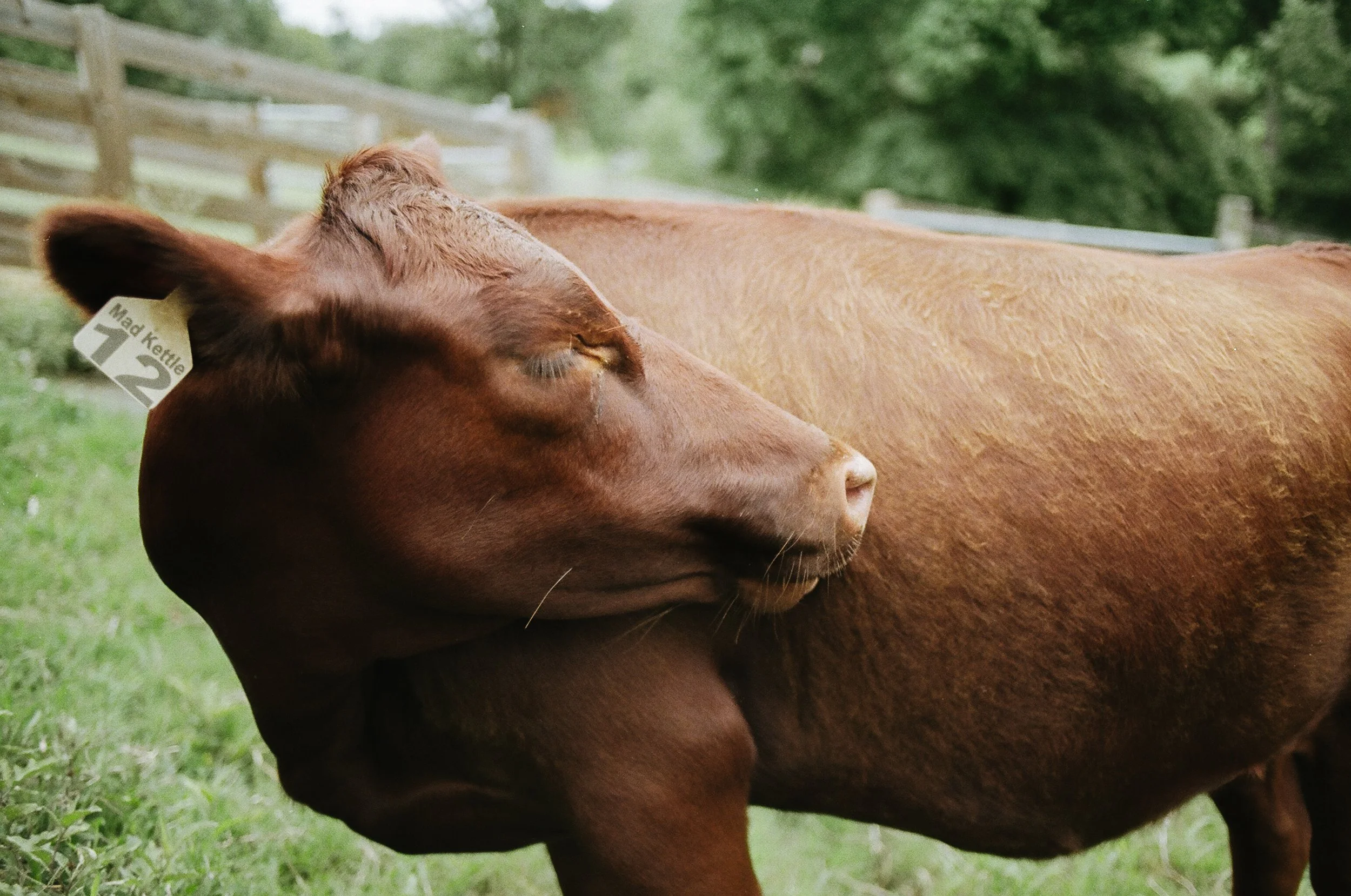 RVA-August-Film-77290033.JPG