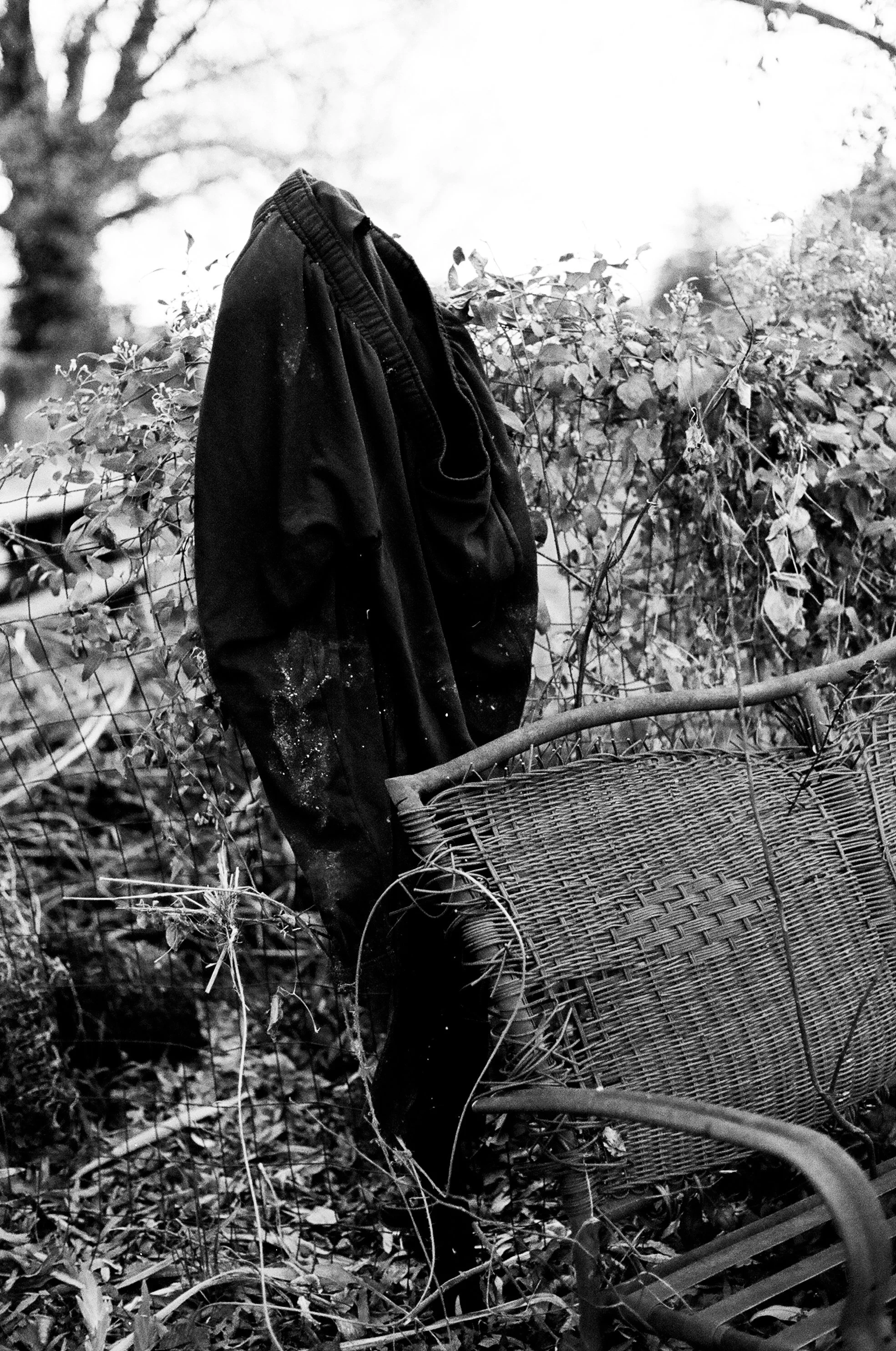 film-24700026.jpg