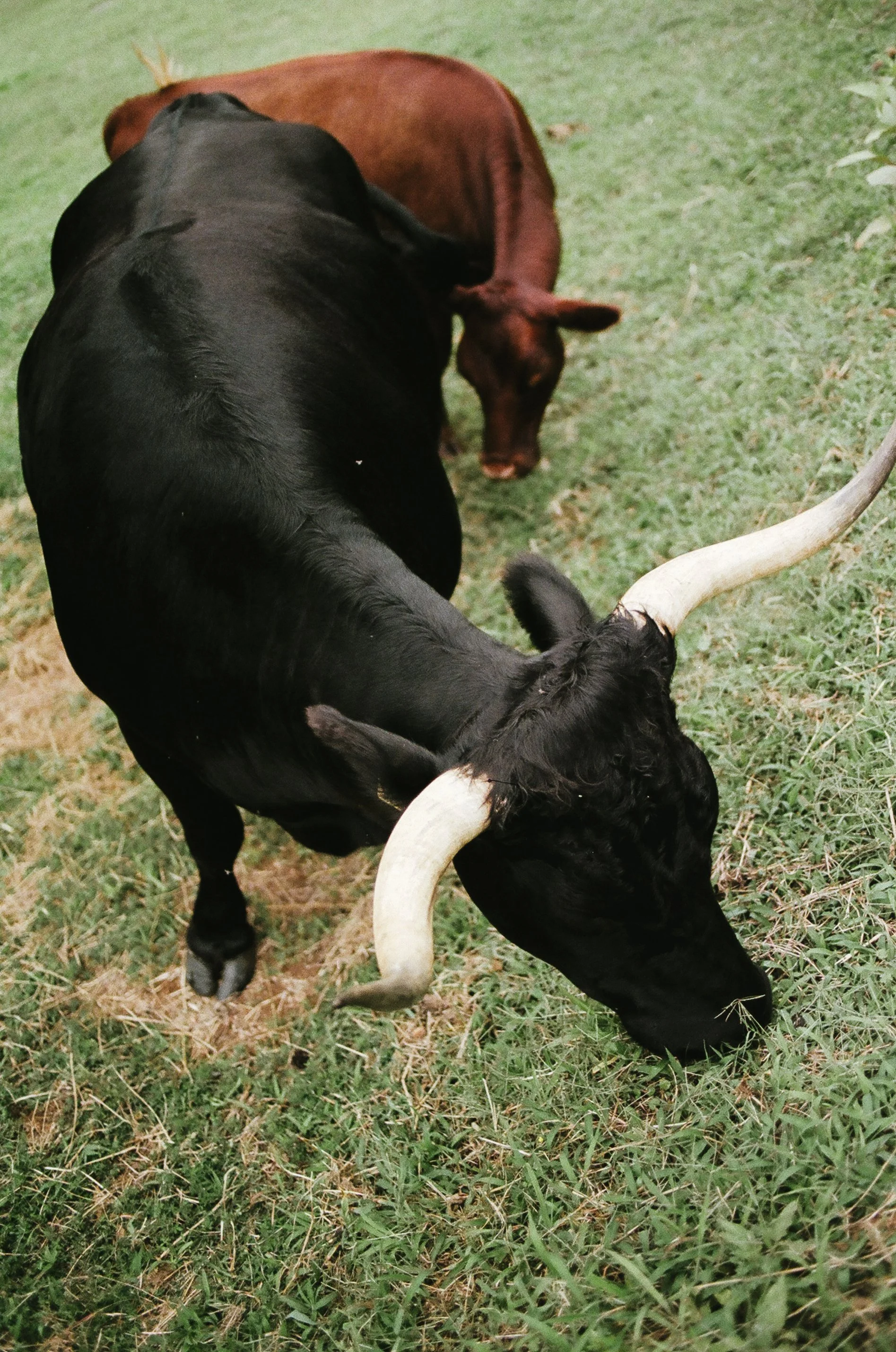RVA-August-Film-77290025.JPG