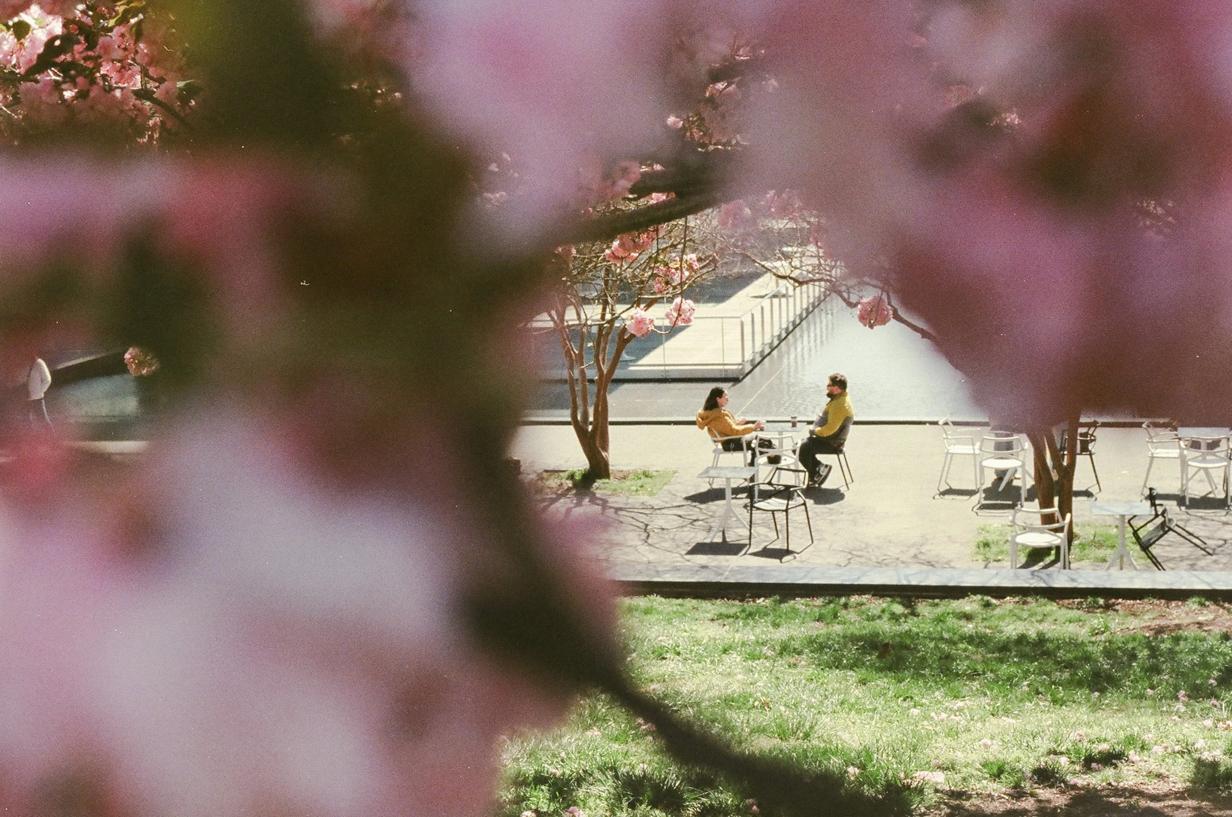 newtlefilm-45180002.jpg