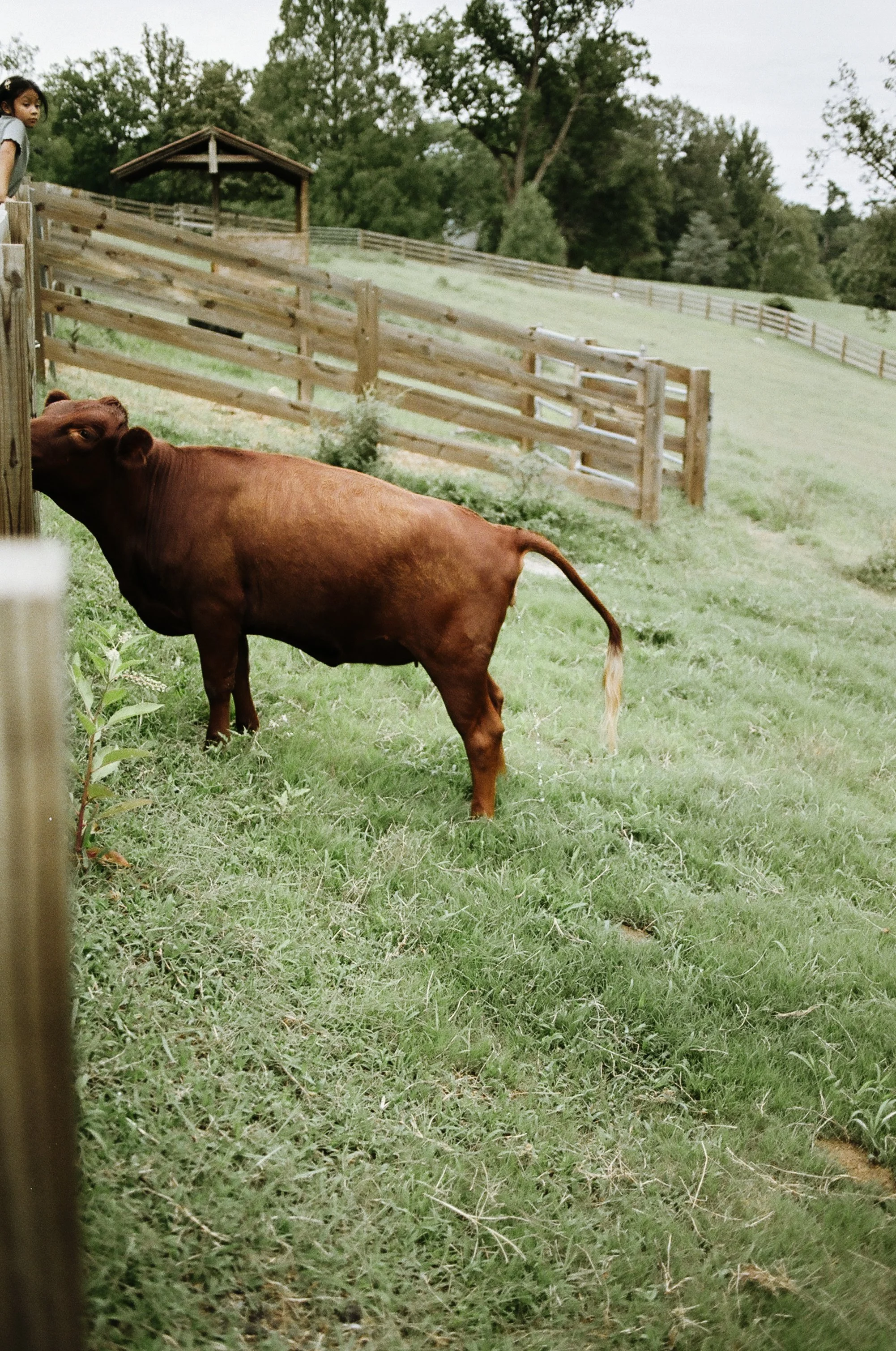 RVA-August-Film-77290029.JPG