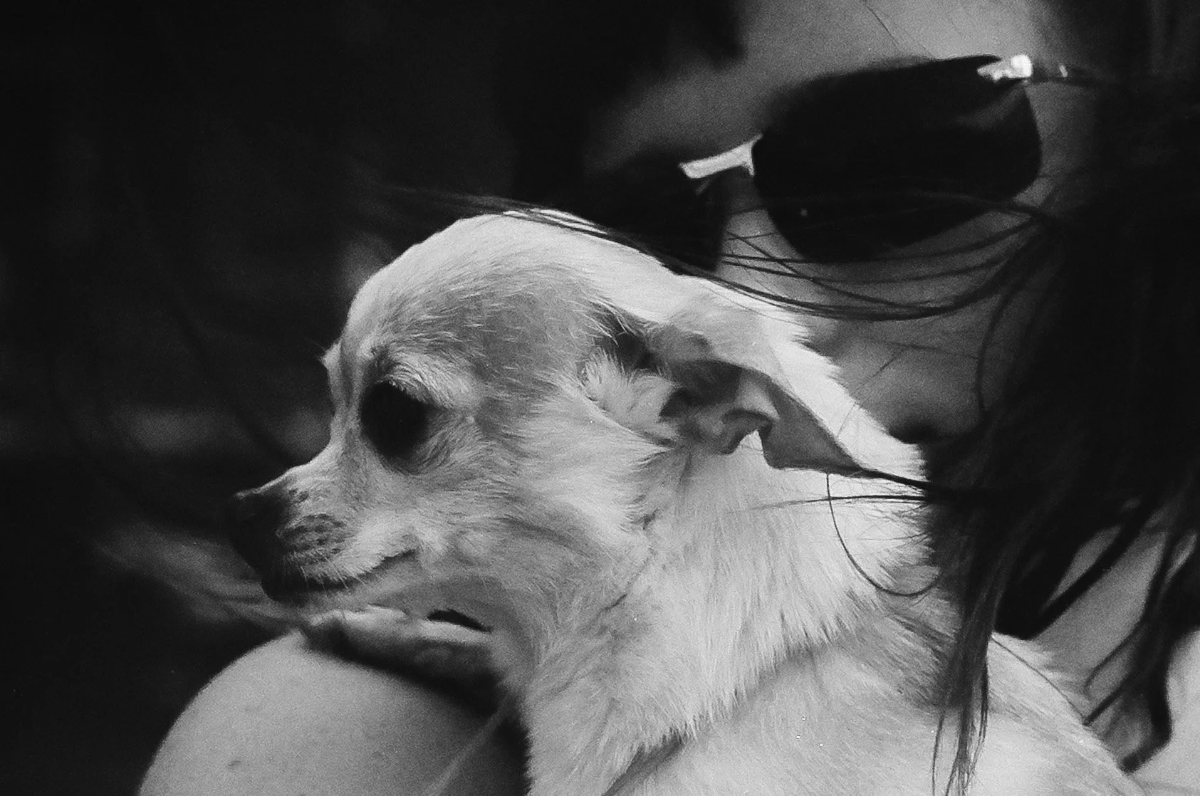 Jane&Chi.jpg