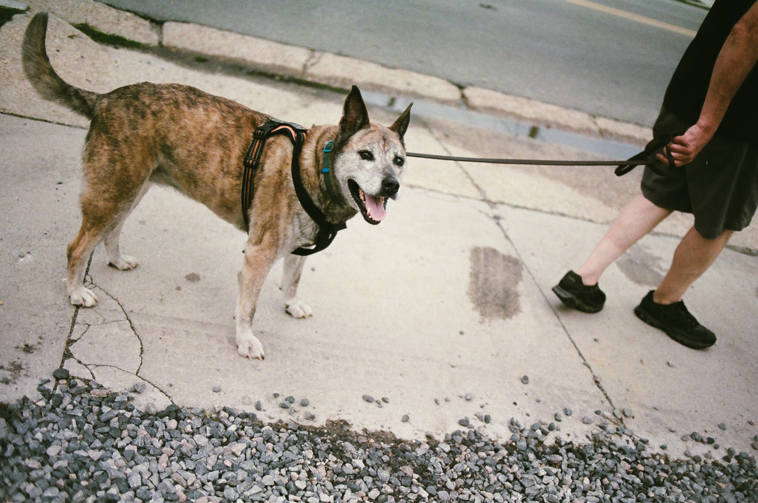 RVA-NYC-FILM-77290018.JPG