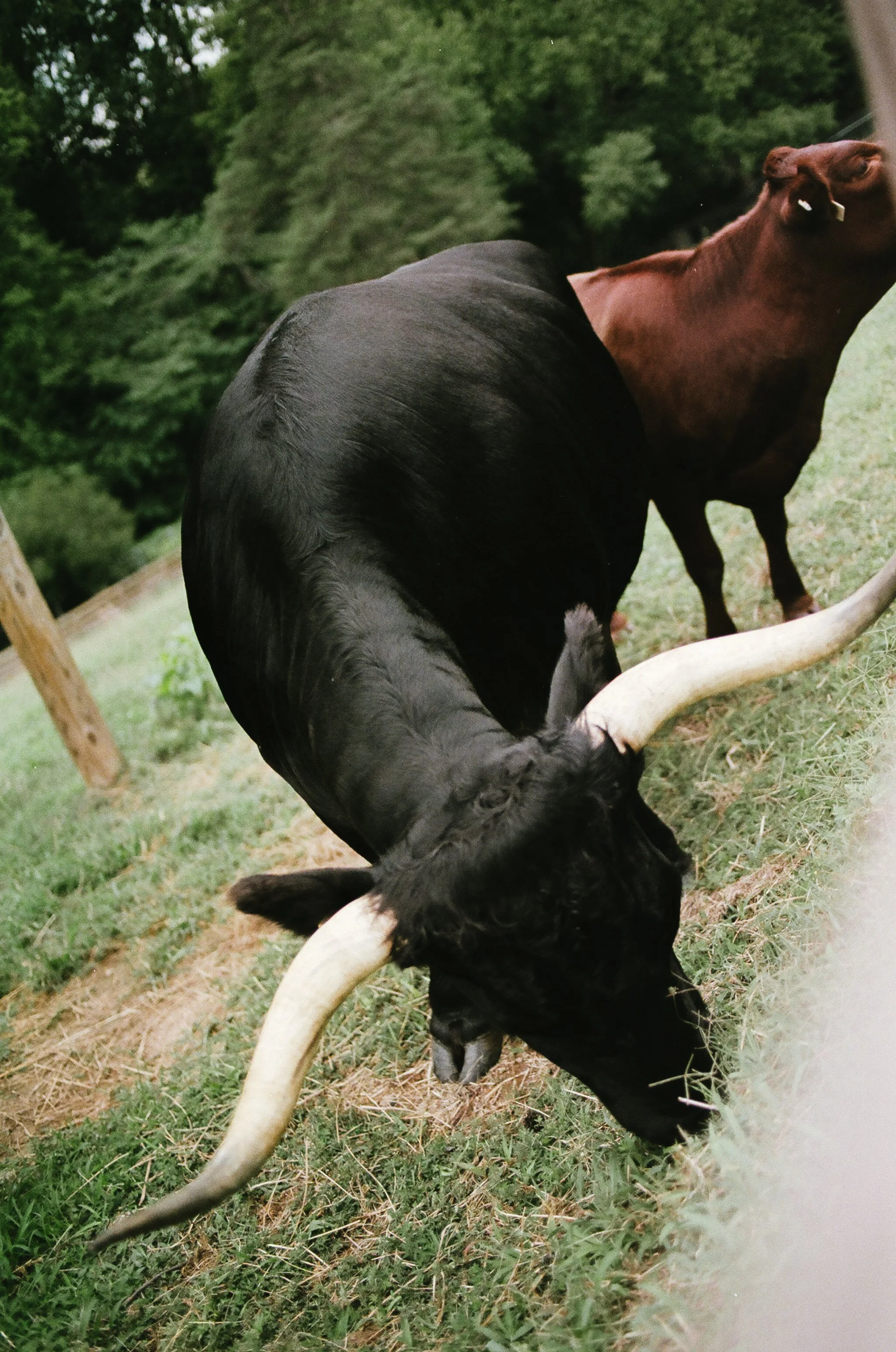 RVA-August-Film-77290026.JPG