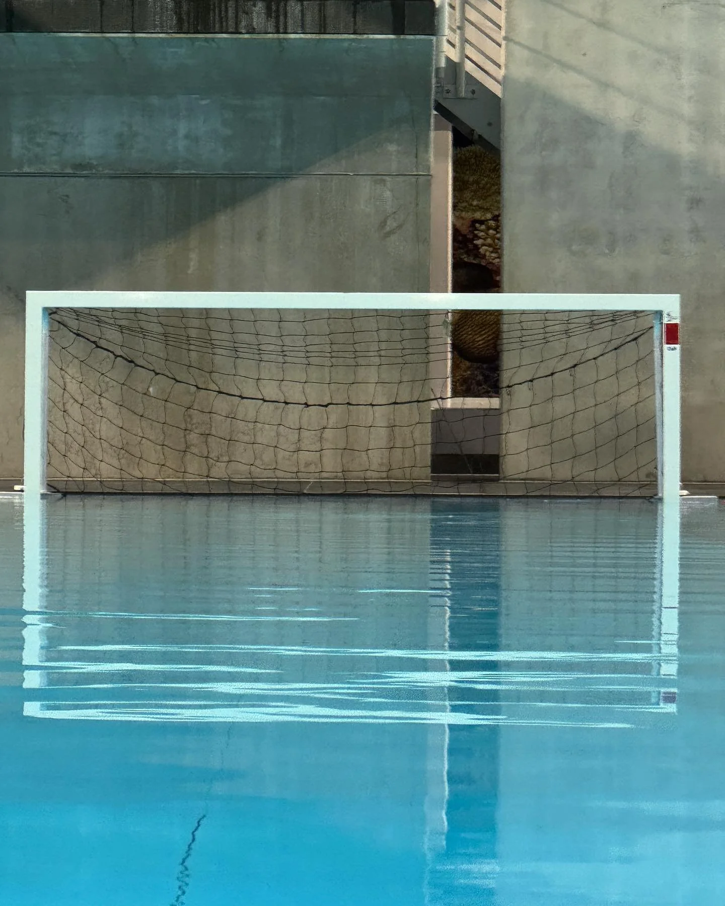 Ready for the London League

#waterpolo #swimming