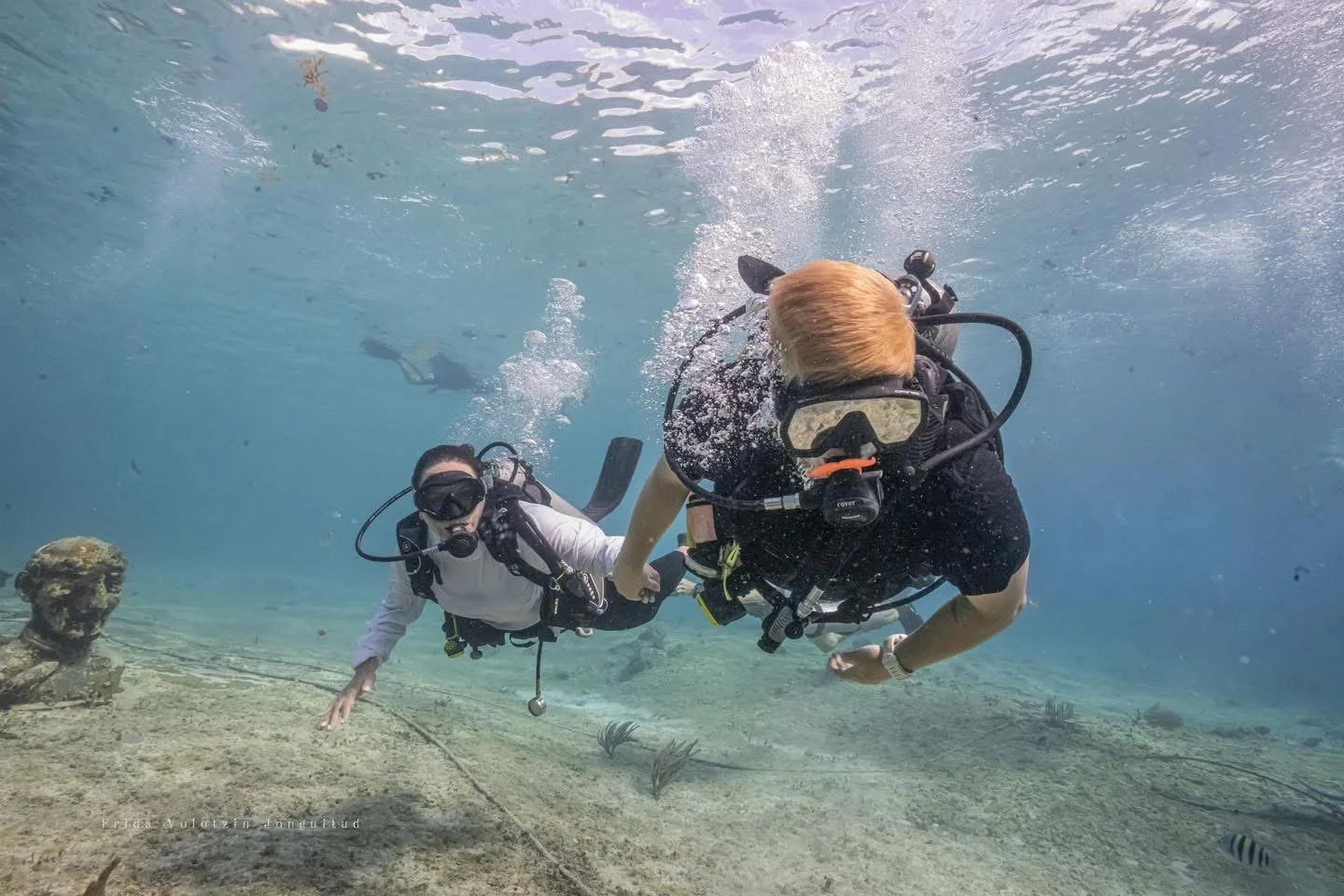 Two scuba divers underwater holding hands, surrounded by coral and fish.  Cozumel Scuba Diving Dive with k8