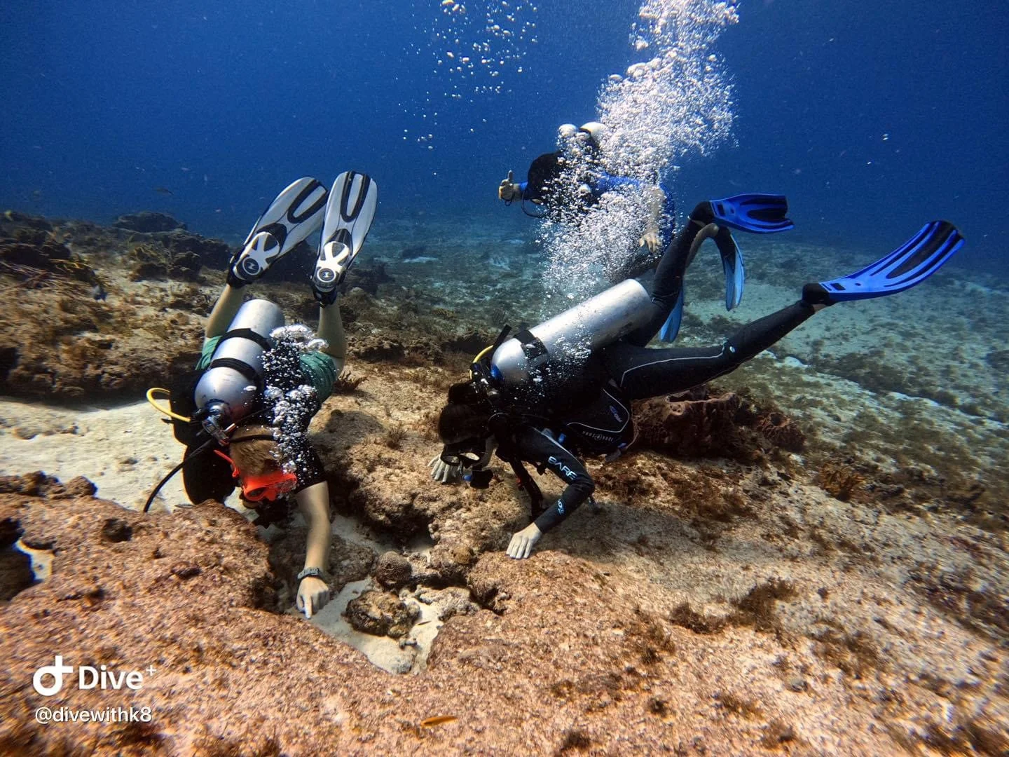Two scuba divers exploring underwater over rocks and coral, one diving downward and the other pointing forward, with bubbles rising to the surface.  Cozumel Scuba Diving Dive with k8