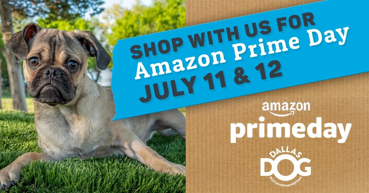 AmazonP2023_Postpsd copy.jpg