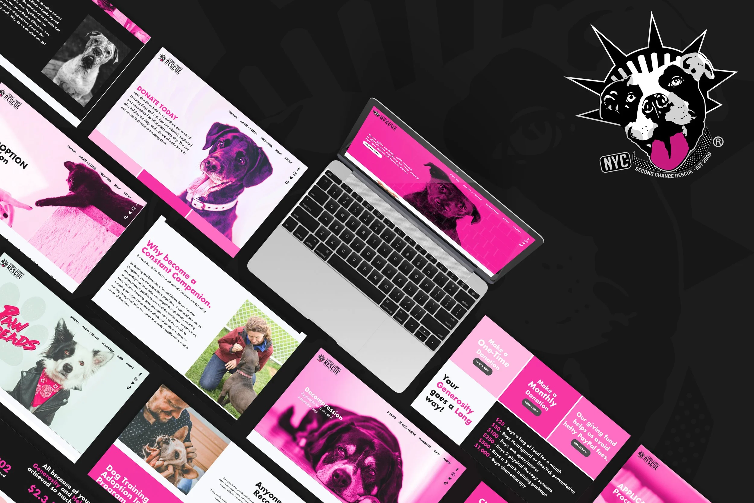 SCR_Deck mockup_2.jpg