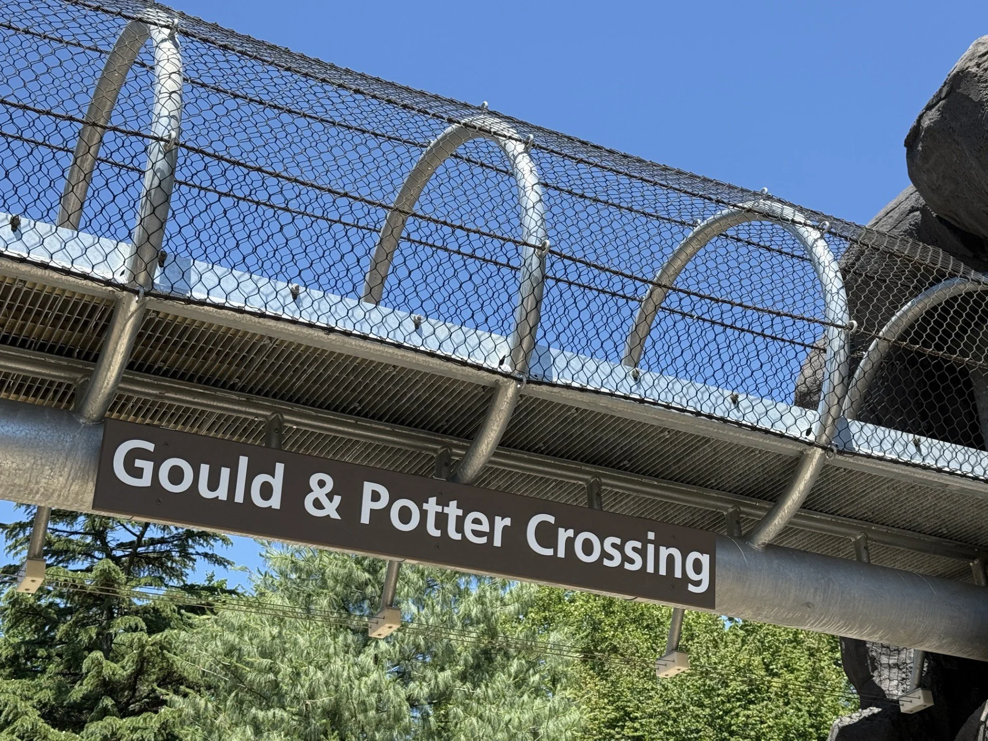 gould .jpg