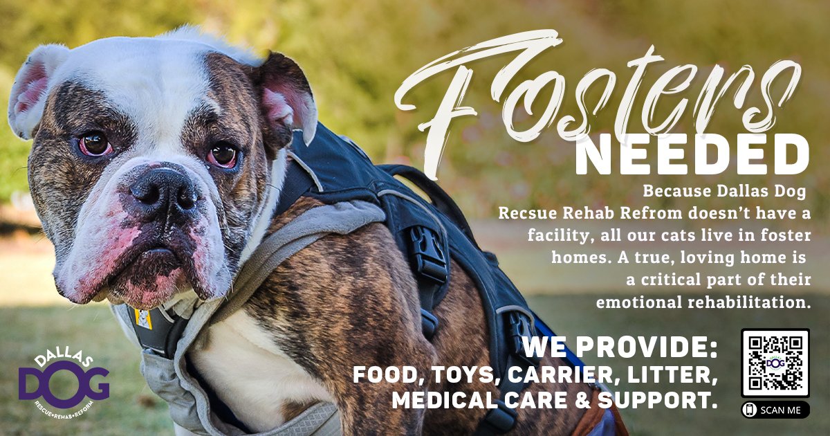 Dog Fosters_Post_1.jpg