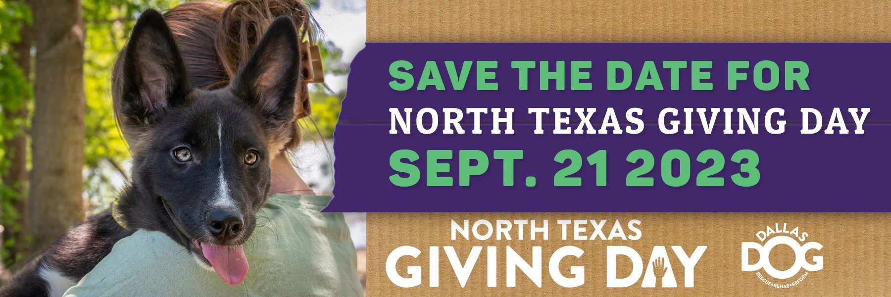 NTGD_Web banner_1 copy.jpg