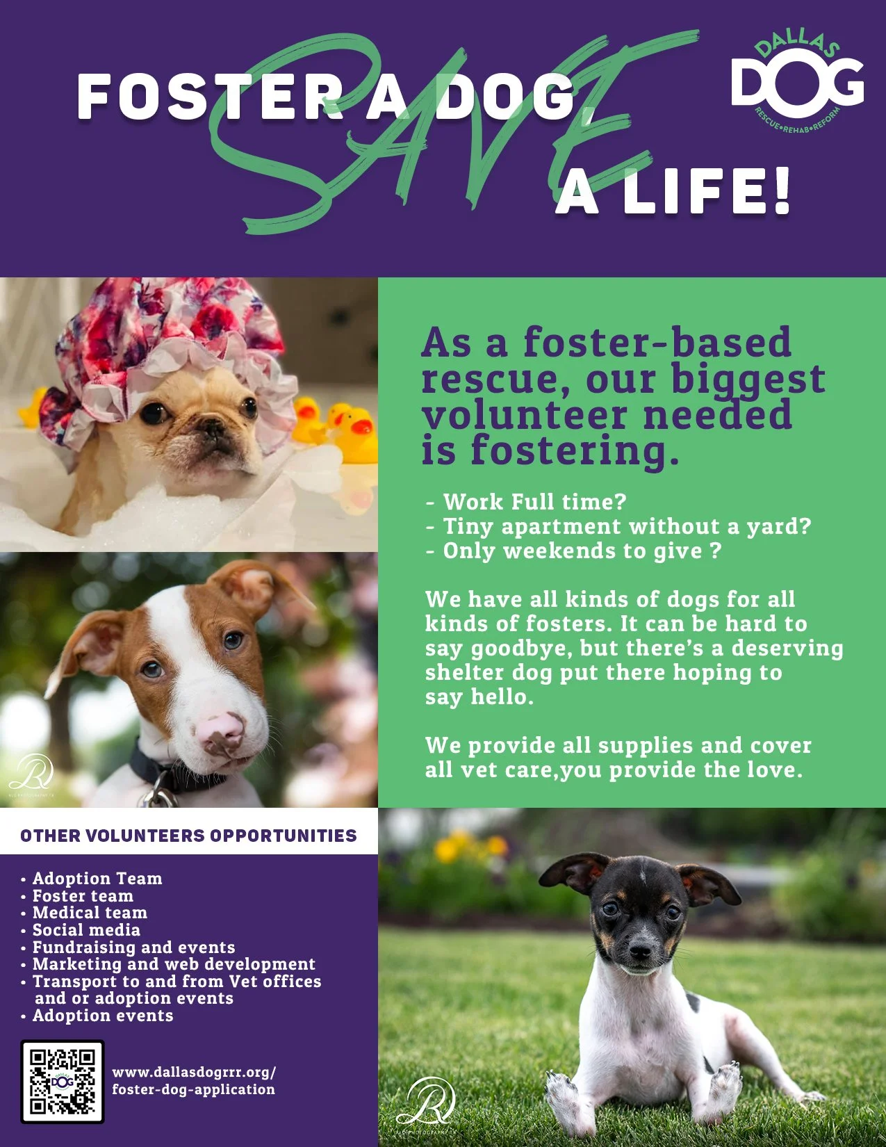 Foster a Dog_Save a Life 2021.jpg