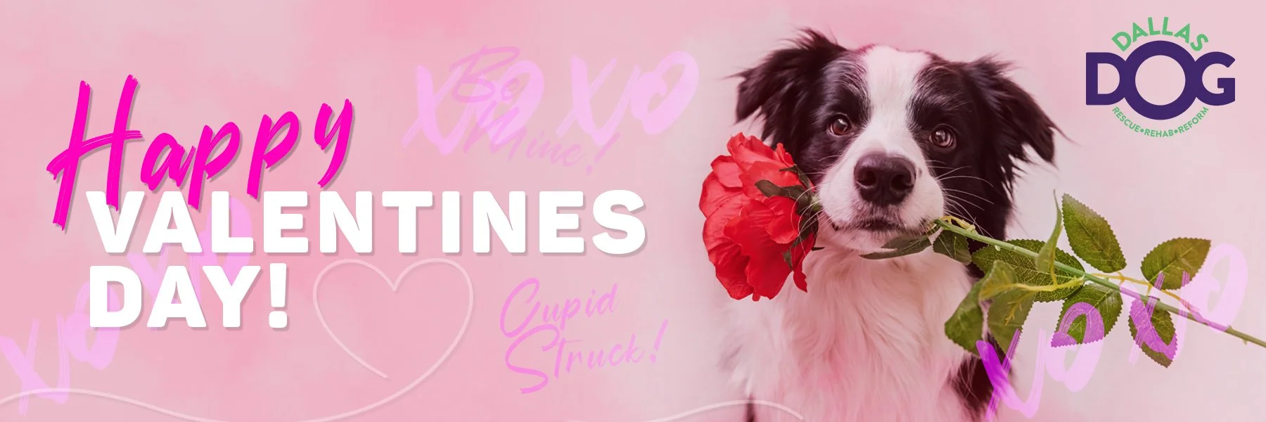 Valentines_Web banner_2.jpg