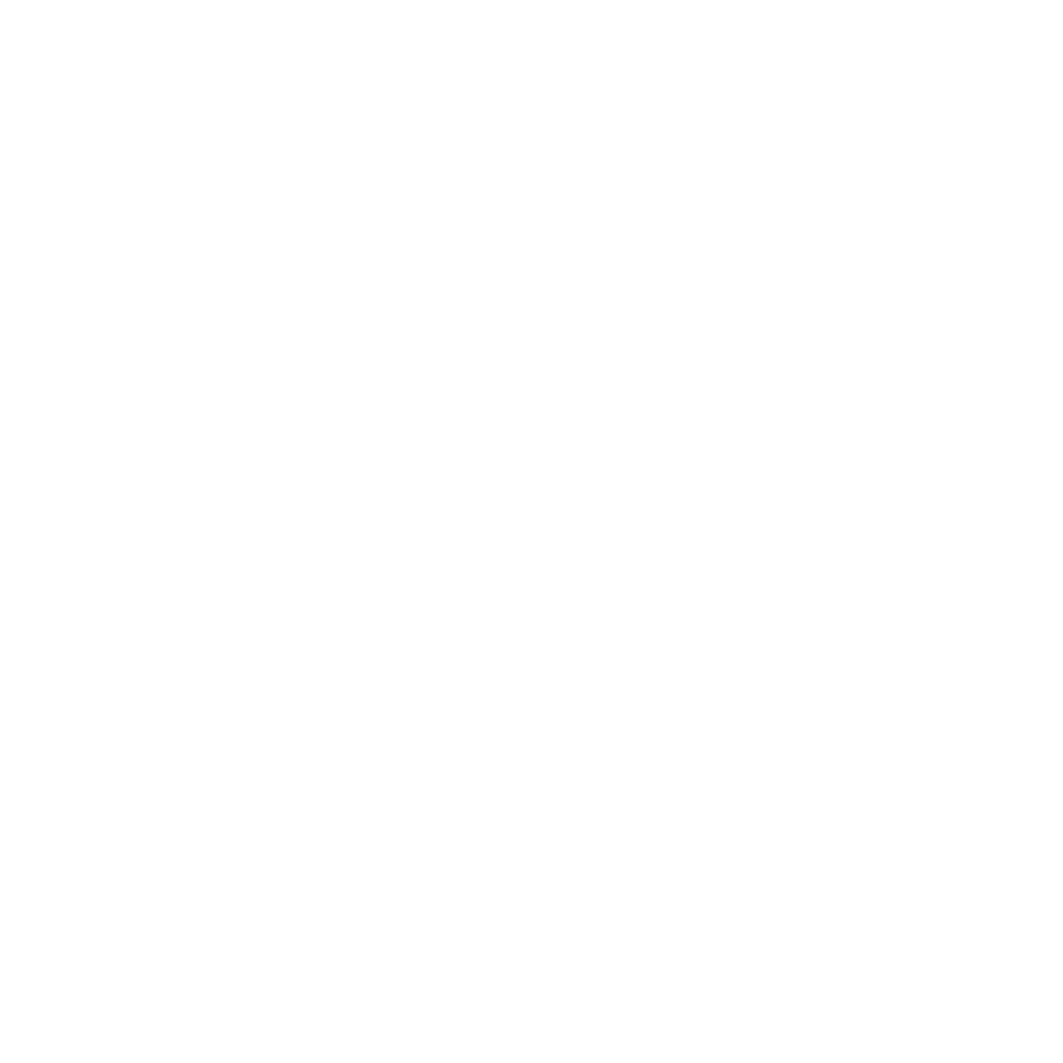 Dallas Fort Worth International Airport logo in black and white with stylized letters and city names.