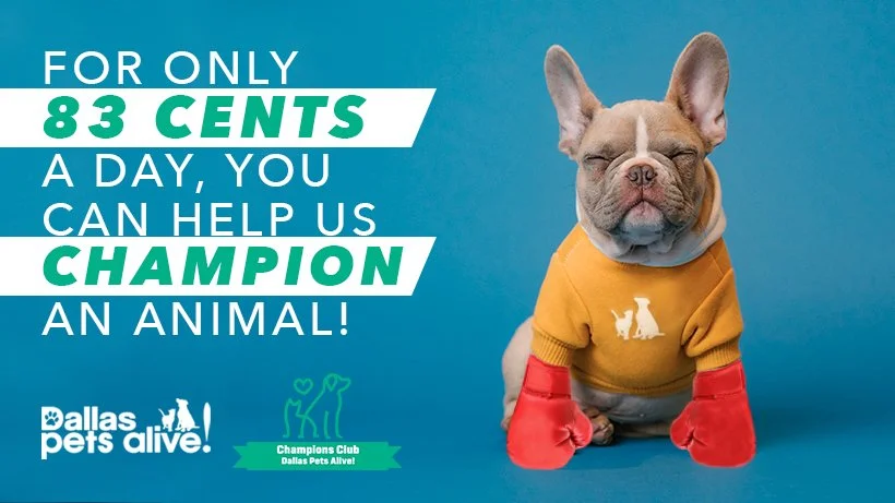 DPA_Email Signature 2.jpg