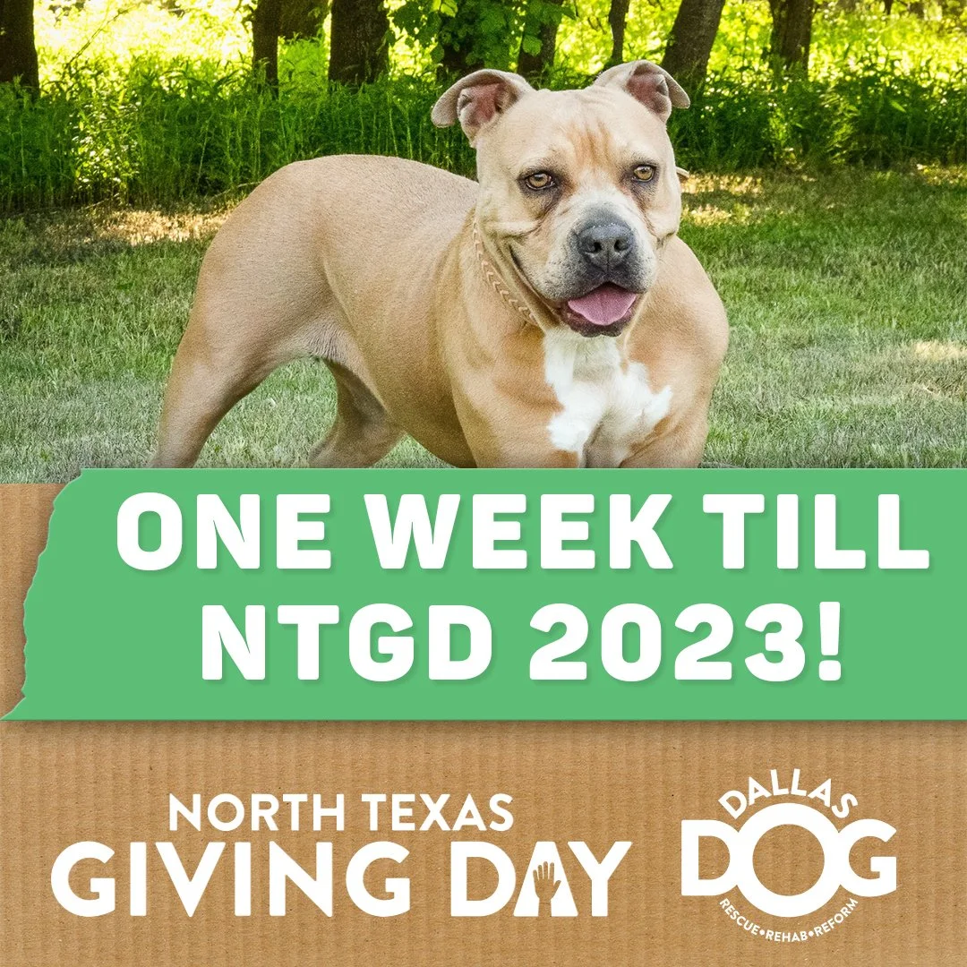 NTGD_1Week_Post copy.jpg