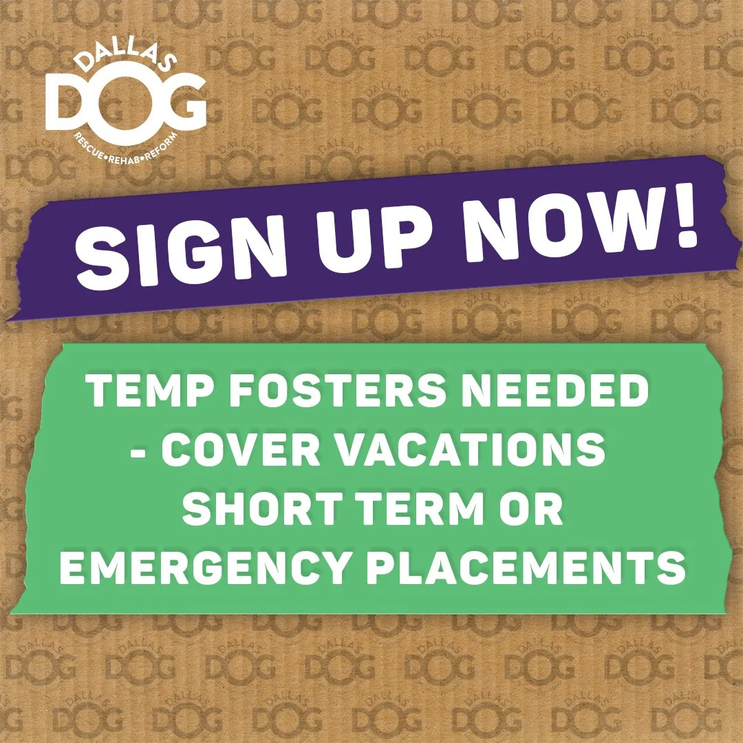 Sign Up Now_Post copy.jpg