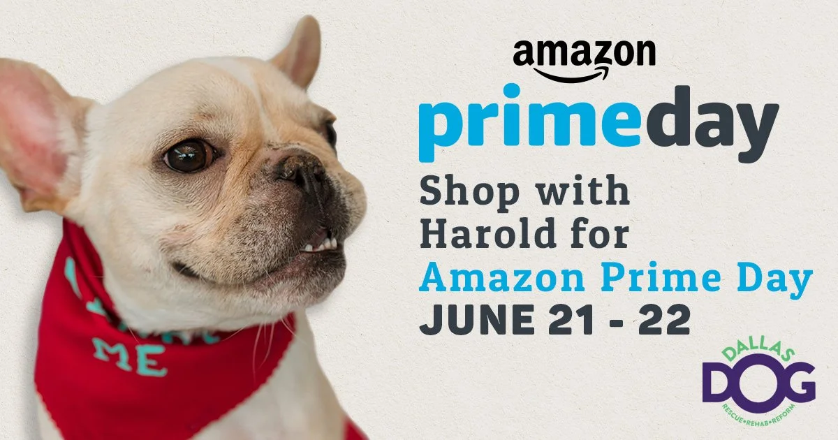 Amazon Prime Day_Post.jpg