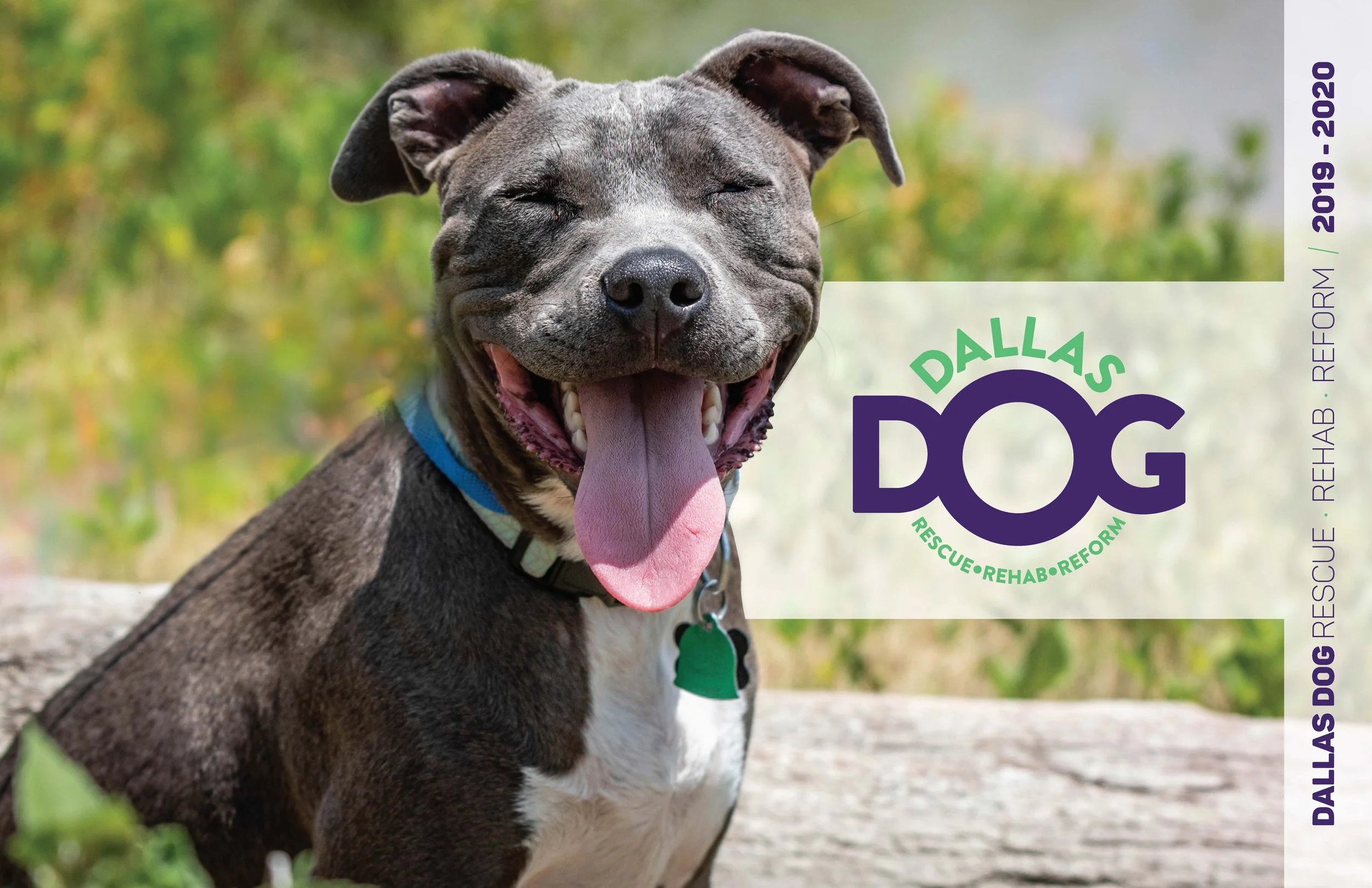 DOGRRR_BOOK 2020_Page_01.jpg