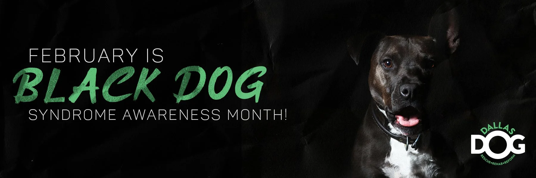 Black Dog Awareness_Web banner_2.jpg
