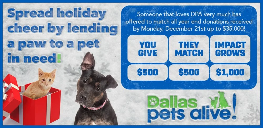 DPA_EOY_matching Donations.jpg