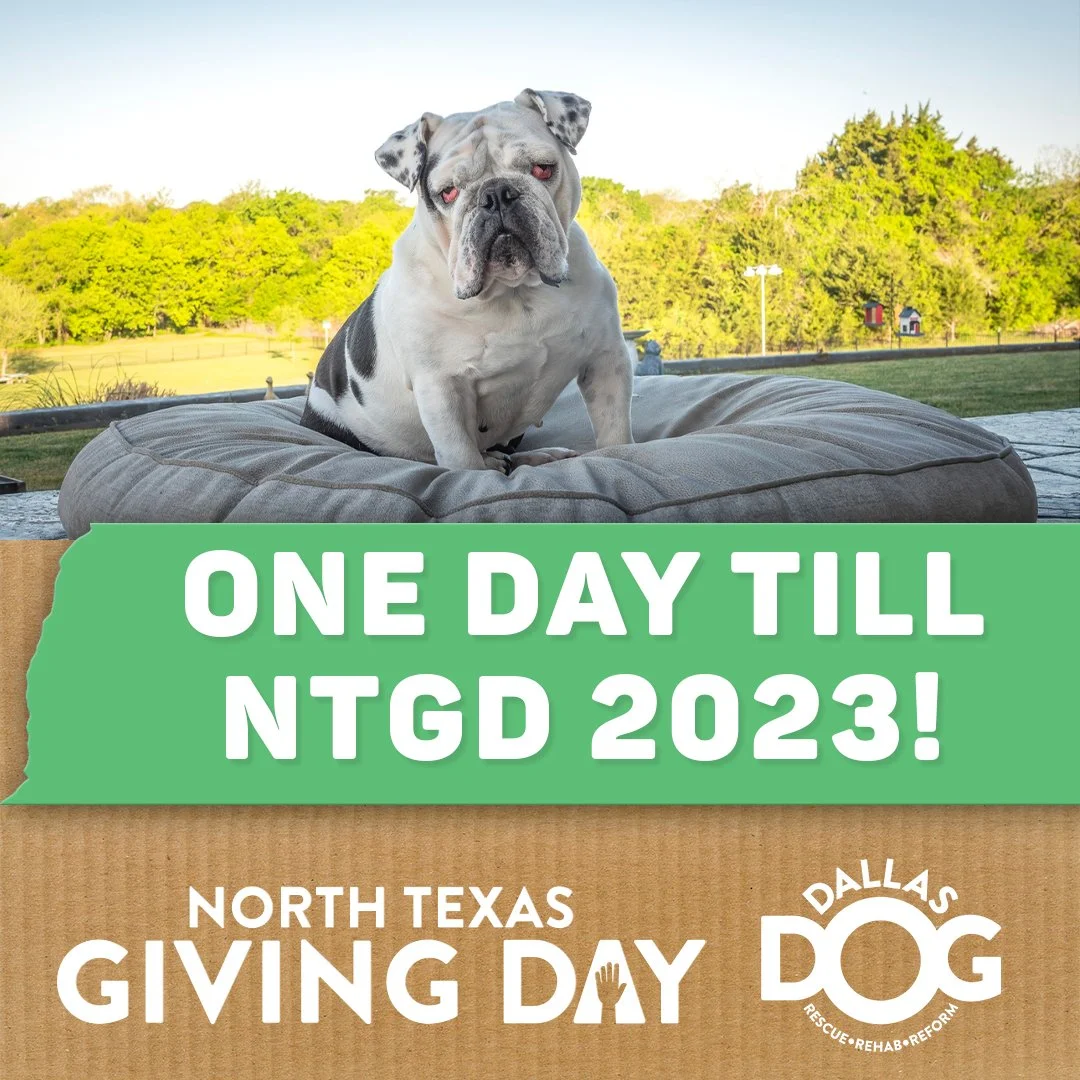 NTGD_1Day_Post copy.jpg