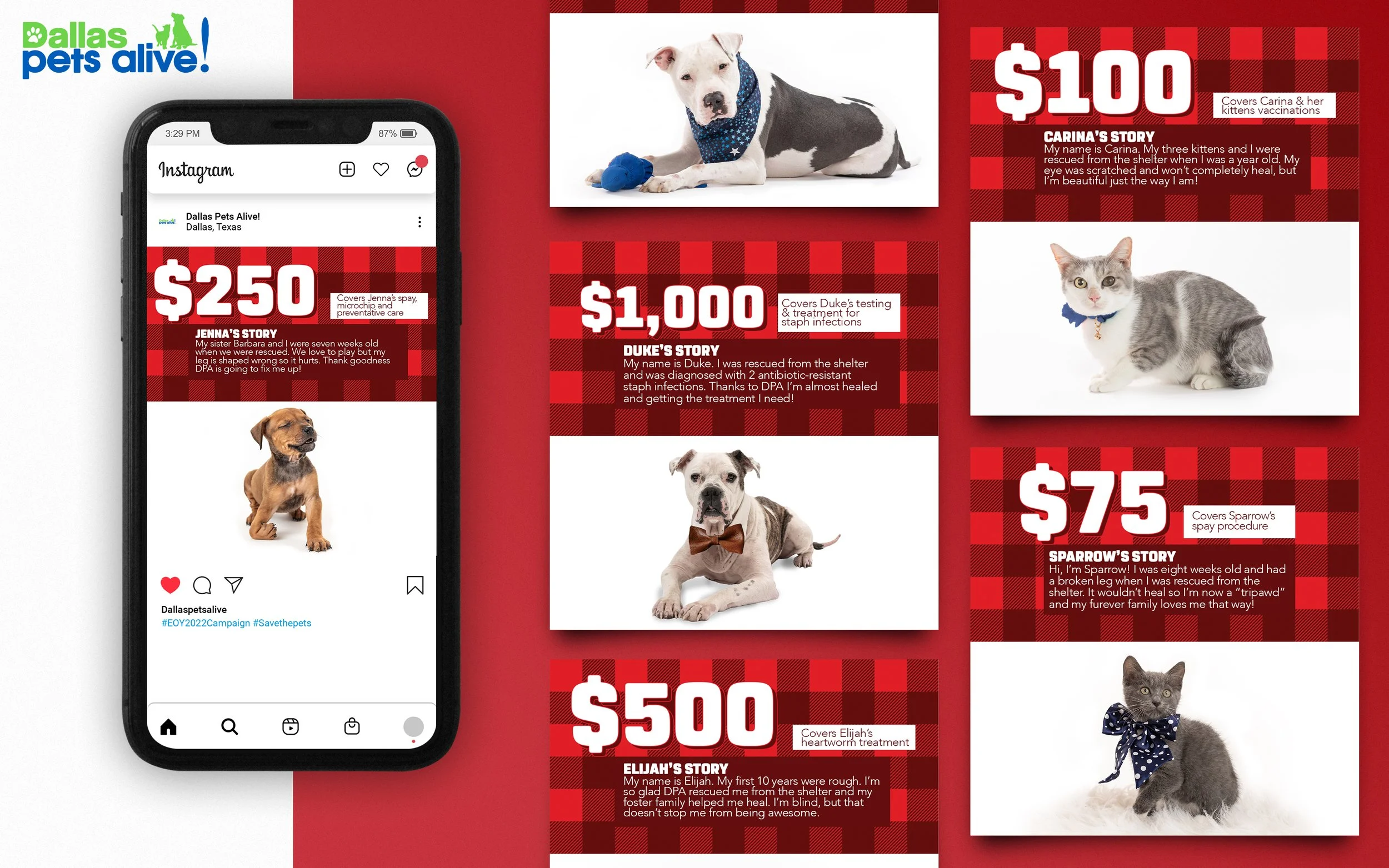 EOY_Campaign_DPA_Social copy.JPG