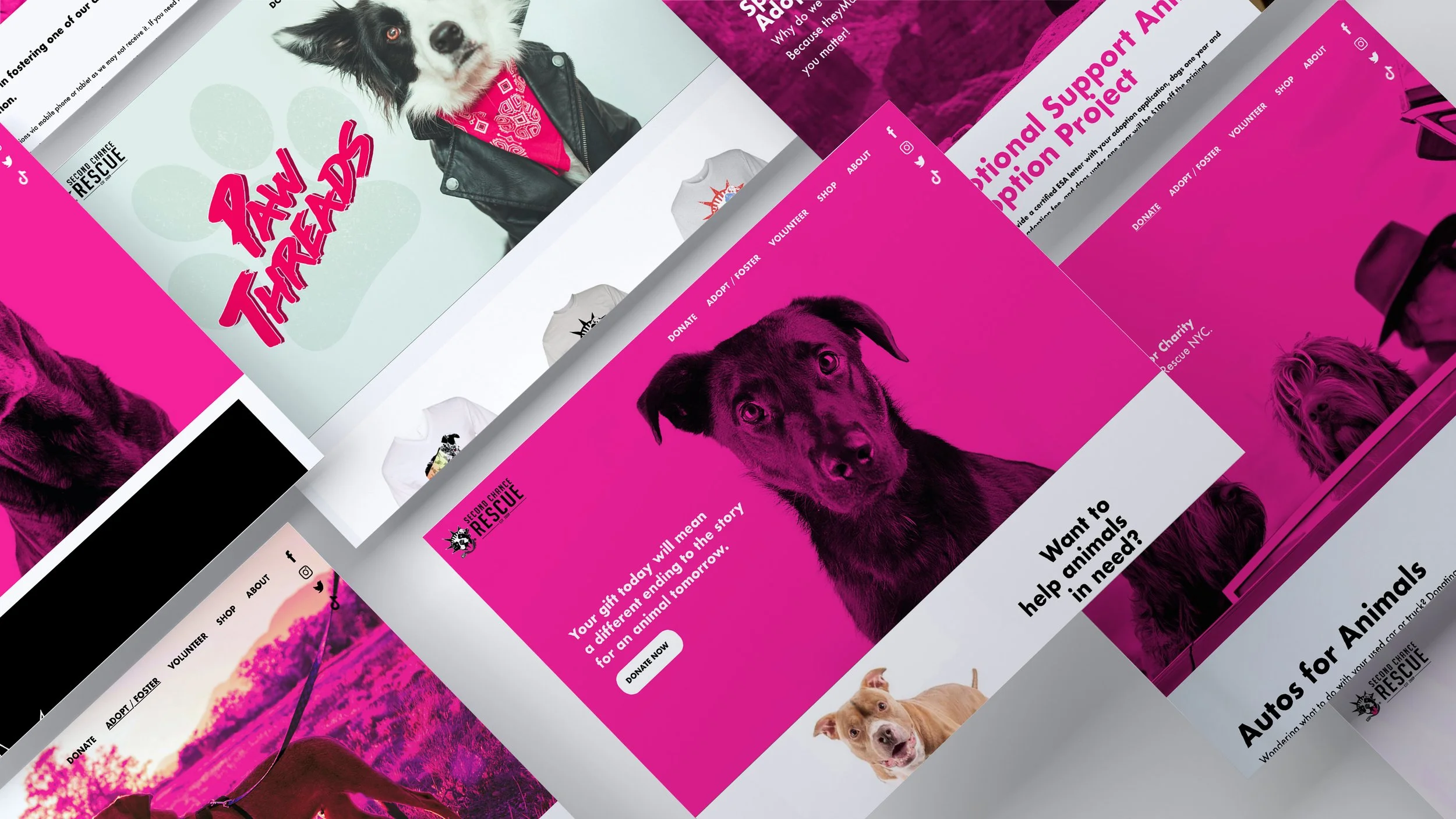 Second Chance Rescue 