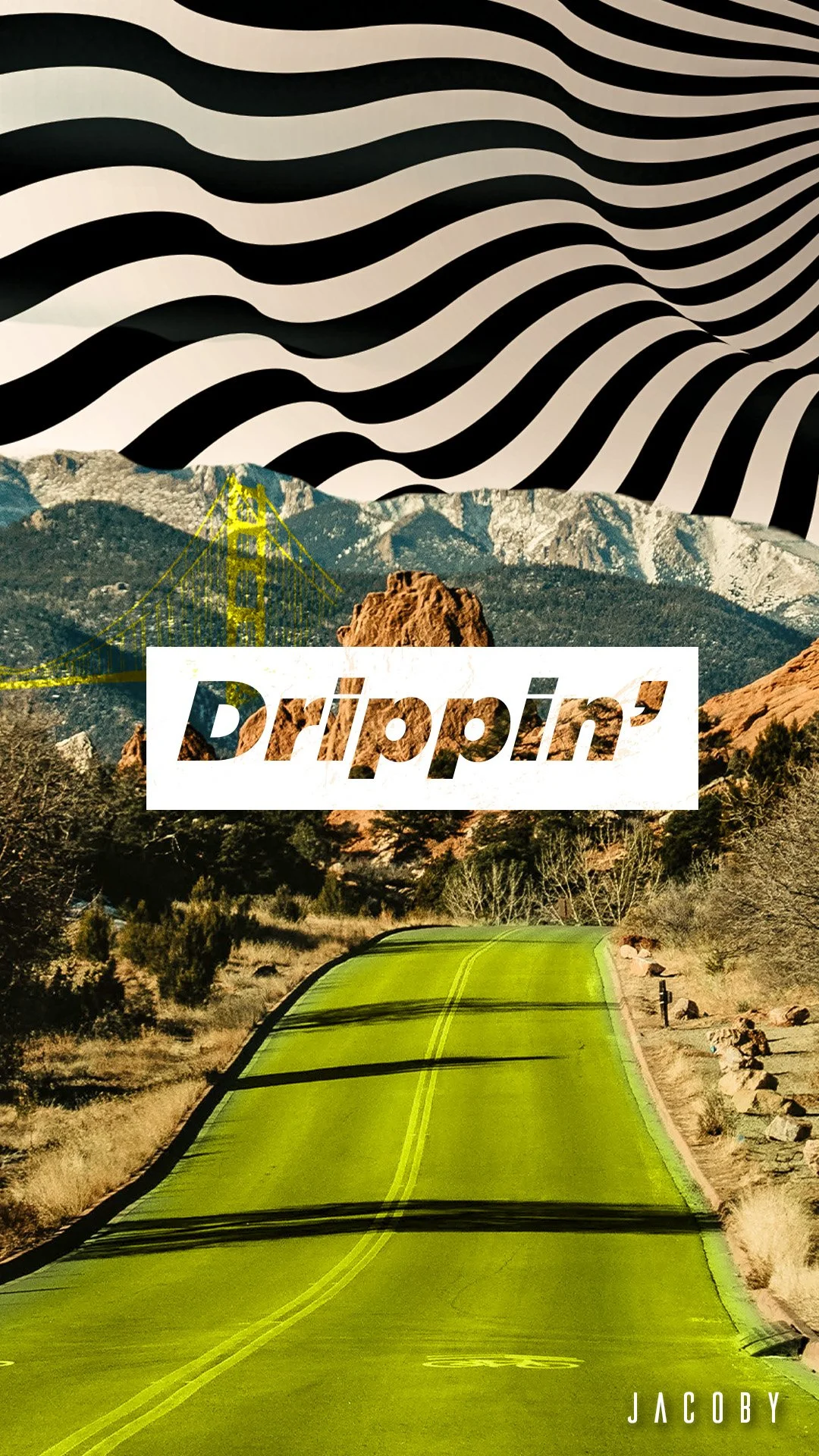 Drippin_Fin_IG_square copy.jpg