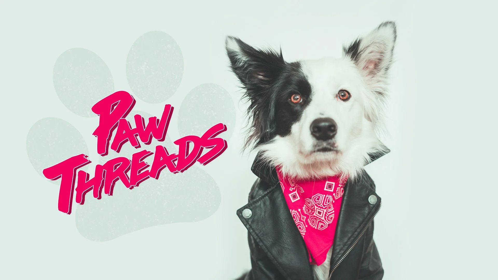 SHOP_PAW THREADS.jpg