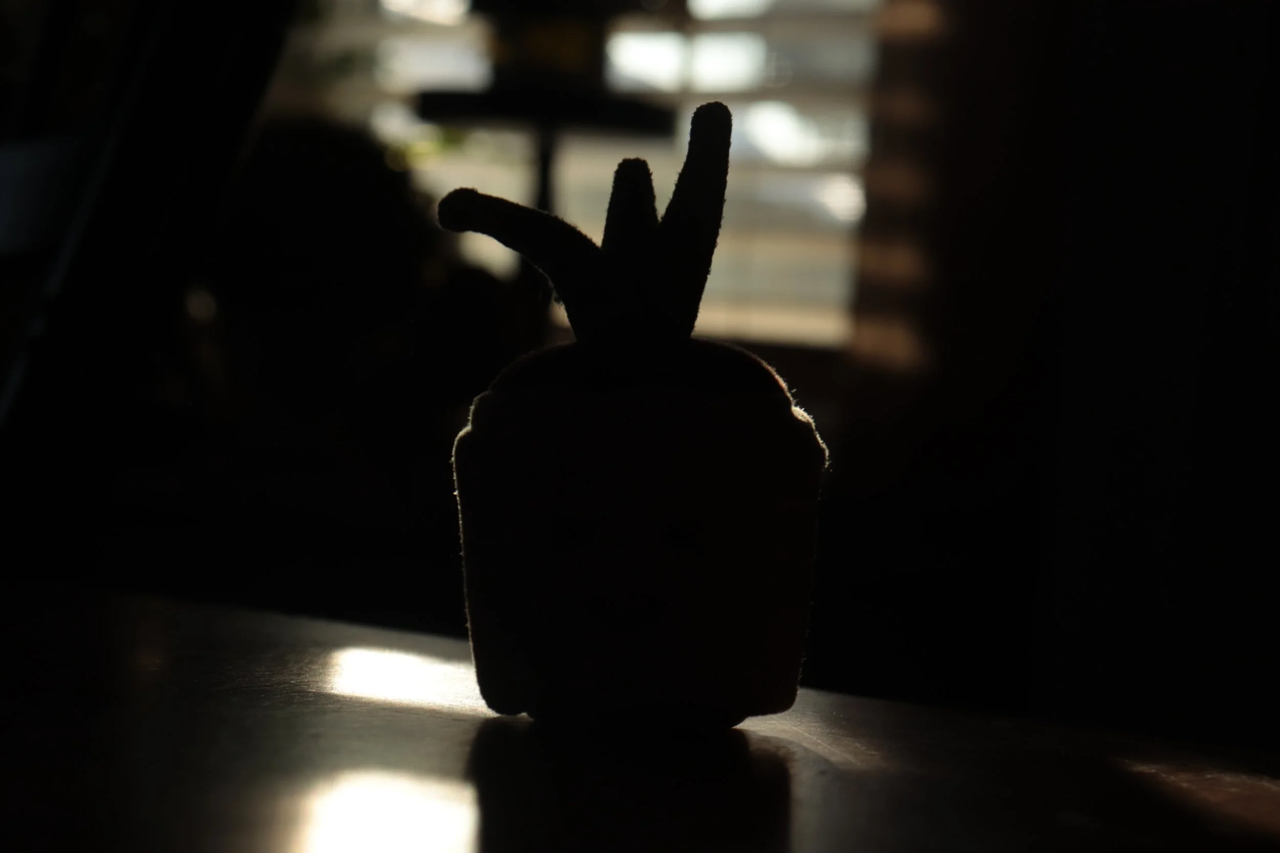 Silhouette