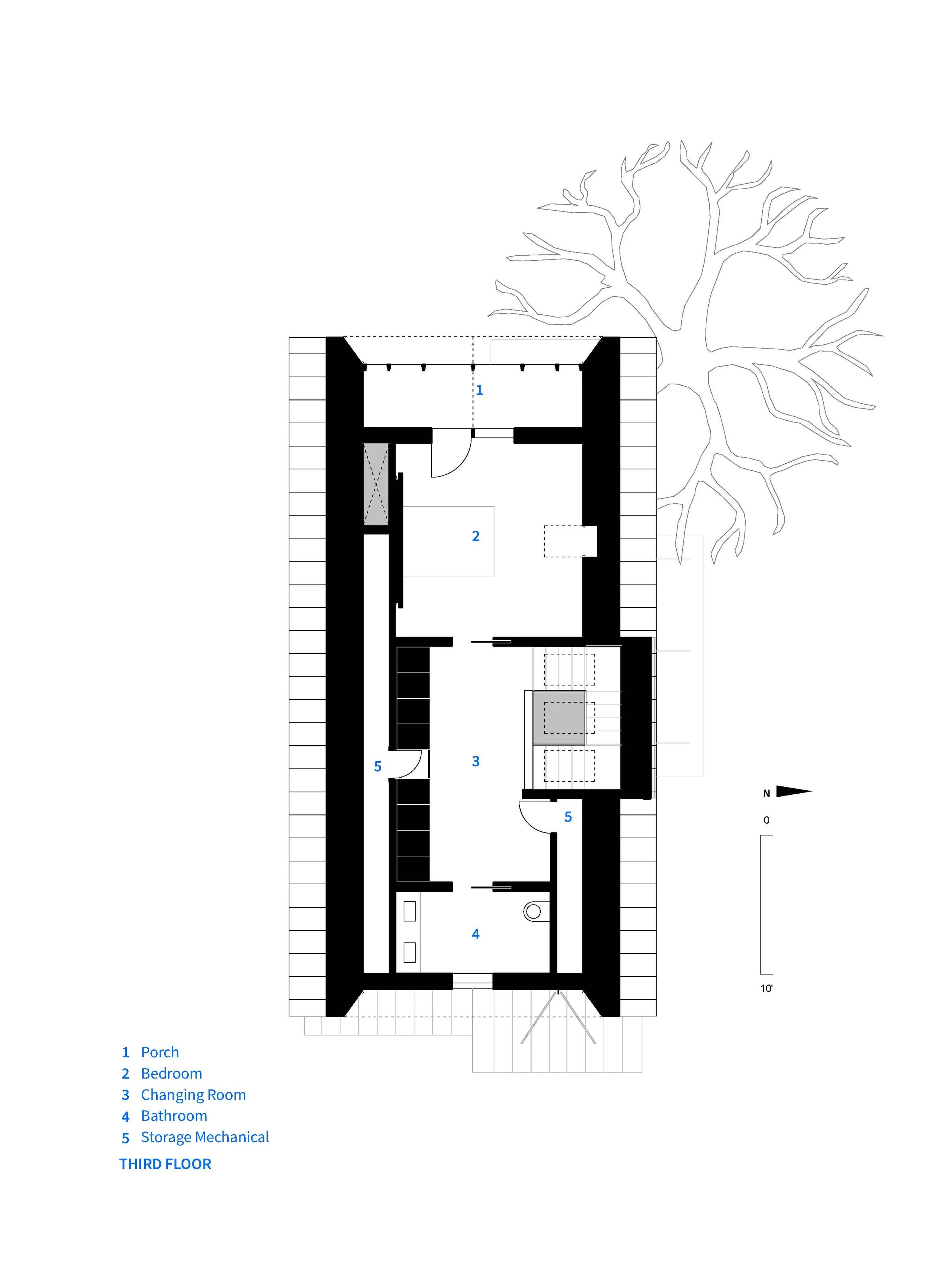 29 Bellis LEVEL 3.jpg