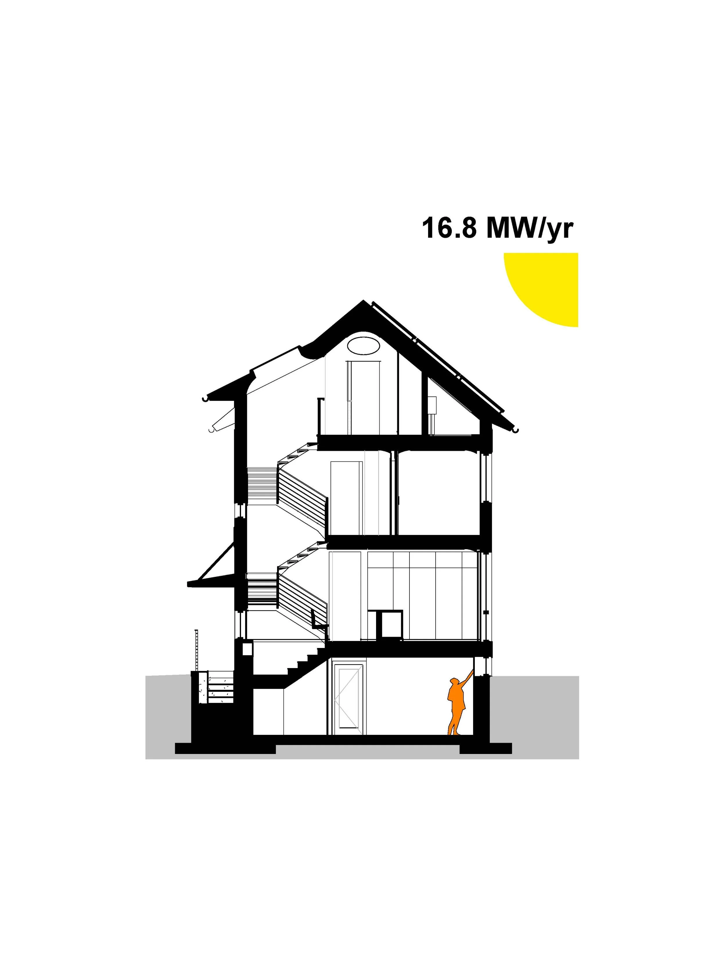 29 Bellis SECTION.jpg