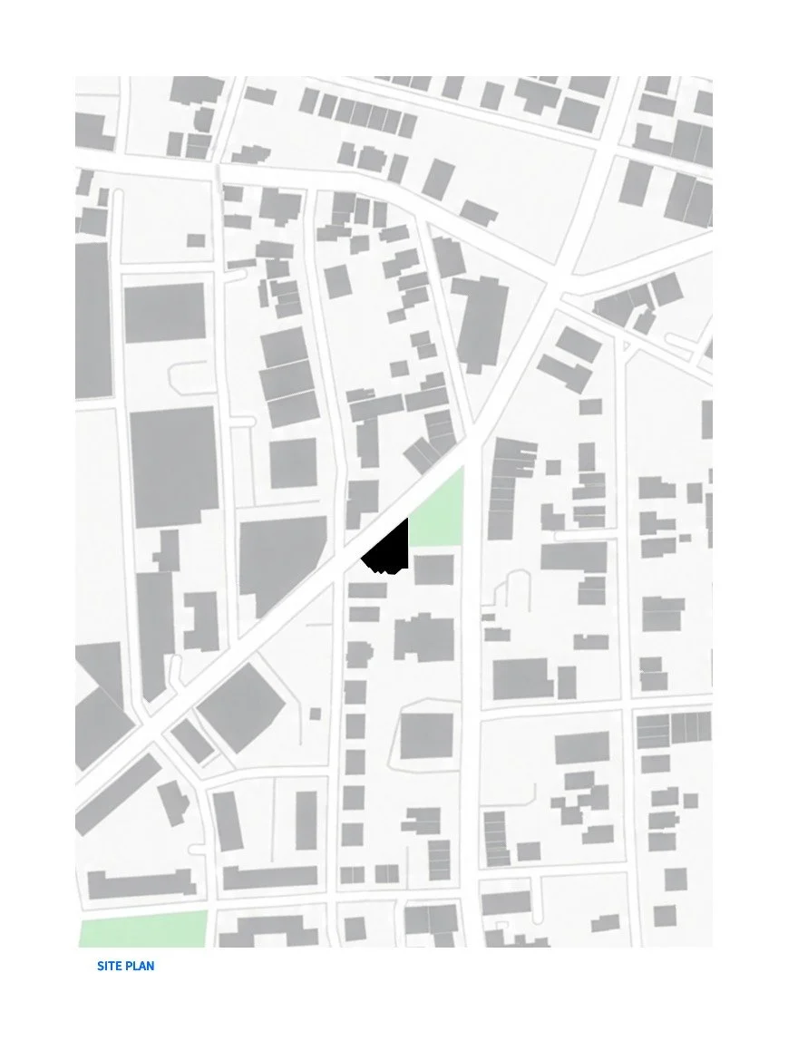 201 graphic site plan.jpg