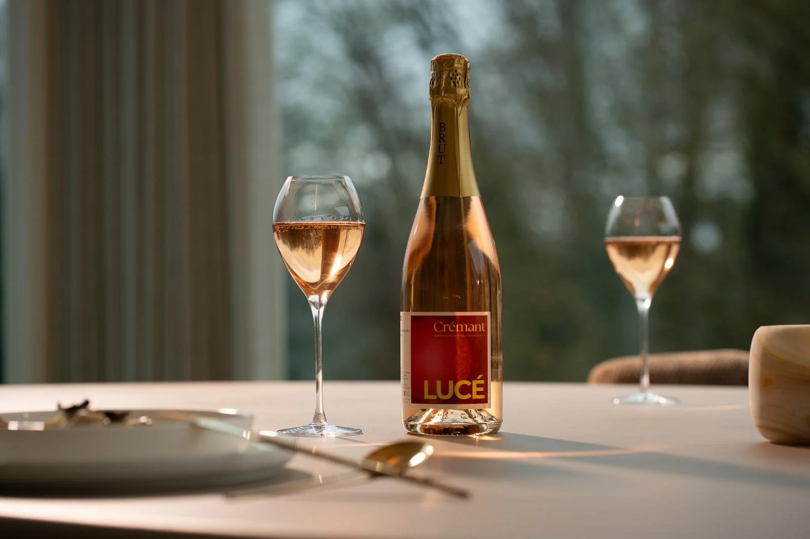 WhatsApp Image 2026-04-08 at 17.41.21.jpeg