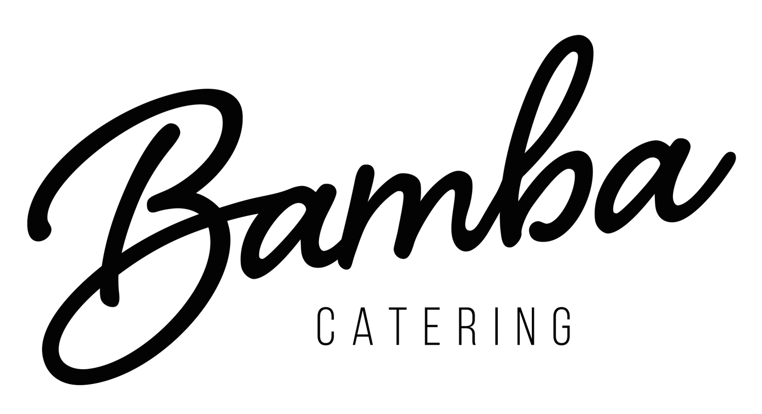 Bamba Catering