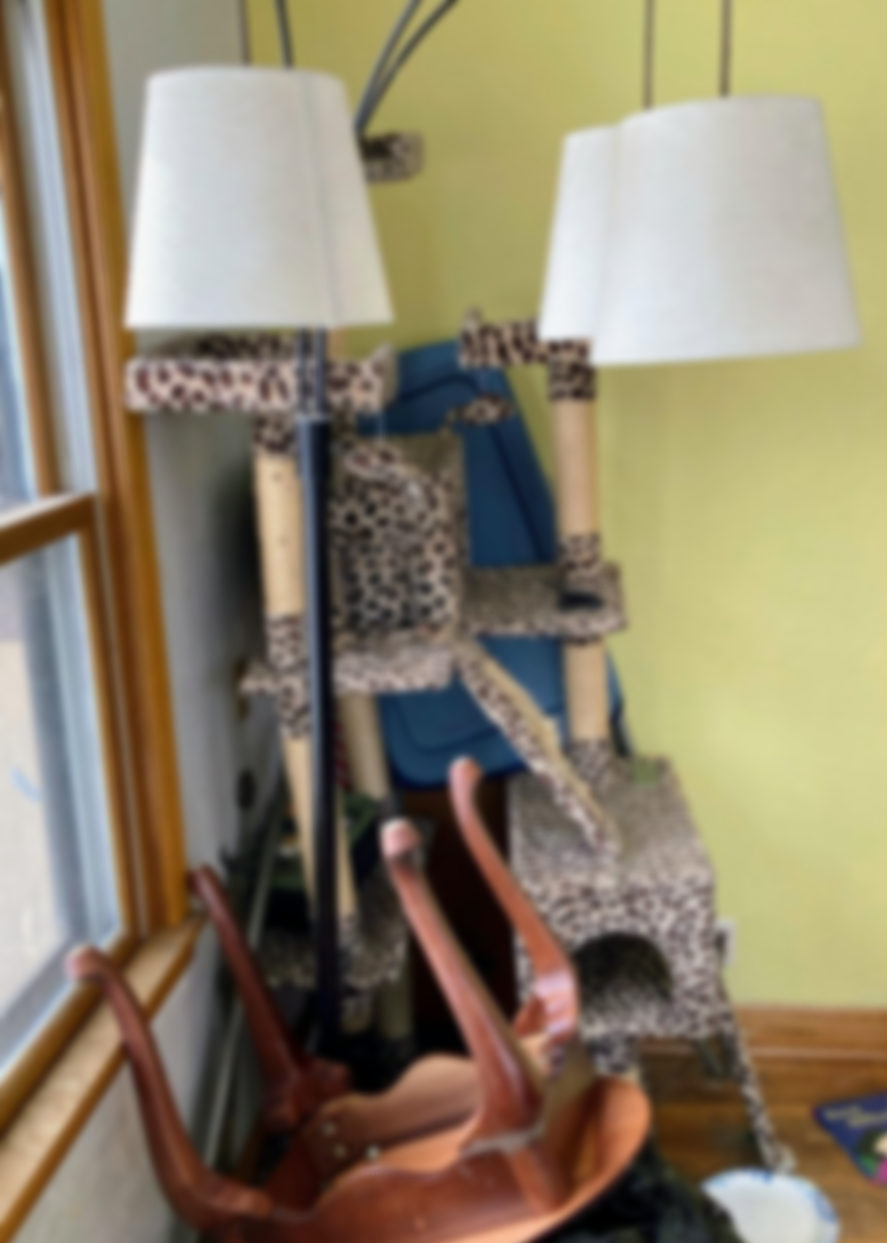 Single item furniture removal job