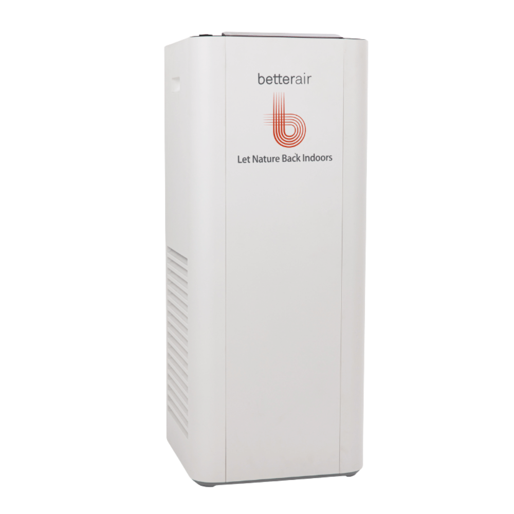 Copy of Clean & Cultured (1).png