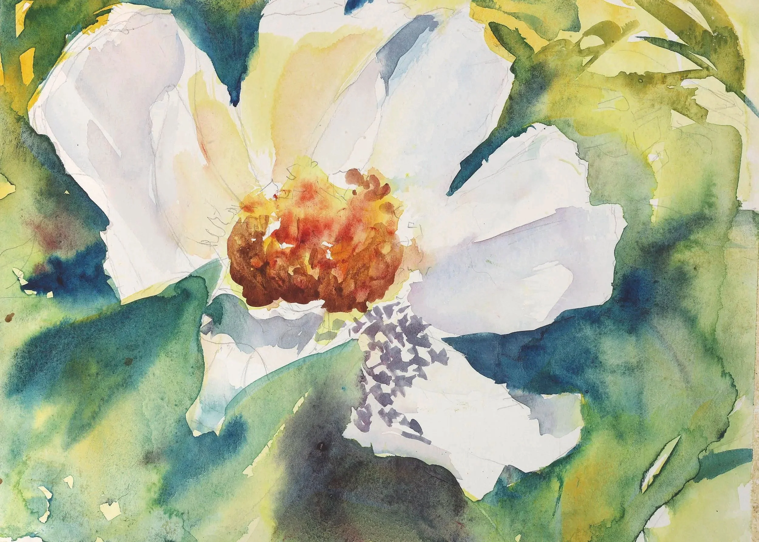 Watercolor painting of a white flower with a yellow and brown center surrounded by green leaves.