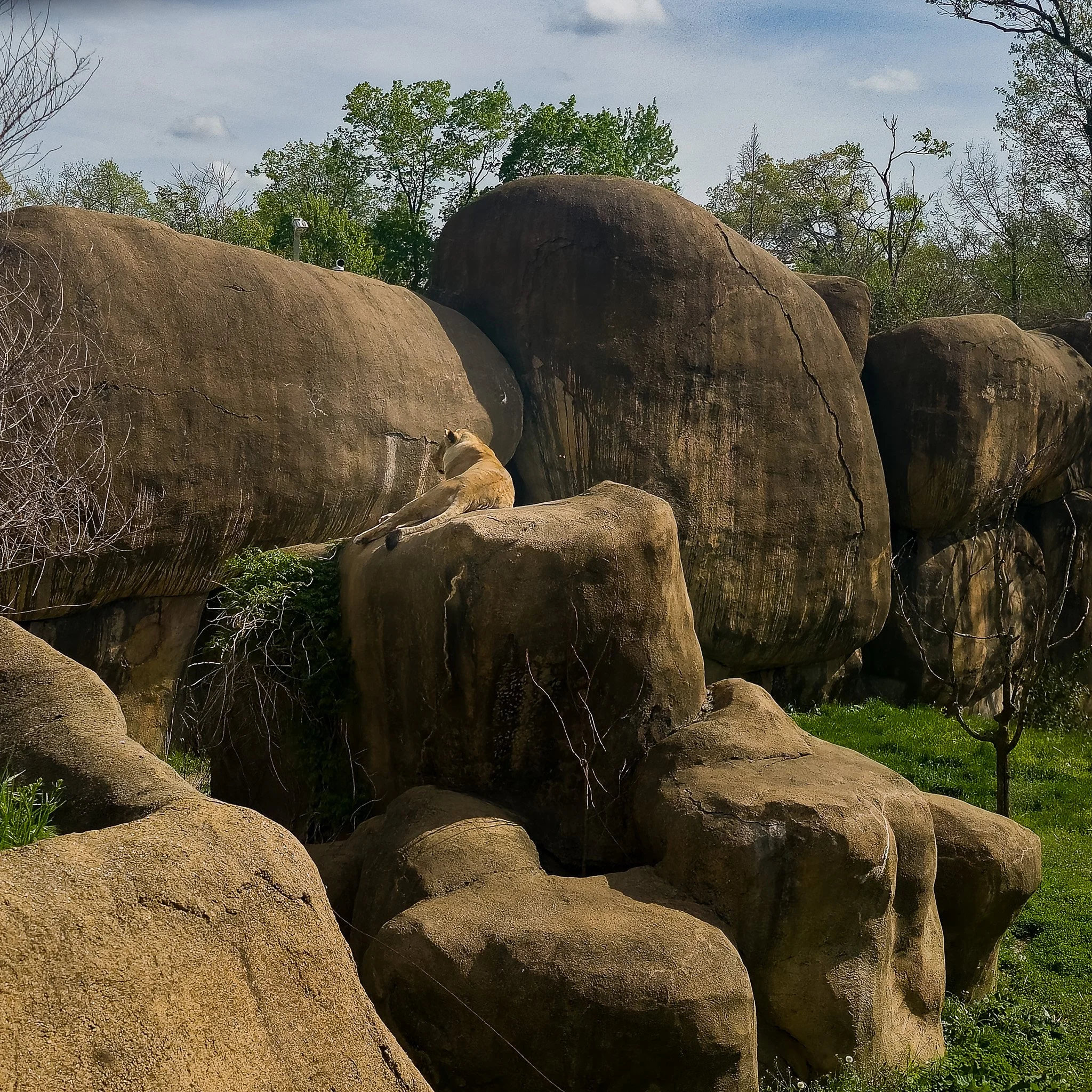 Peoria Zoo Trip 2026