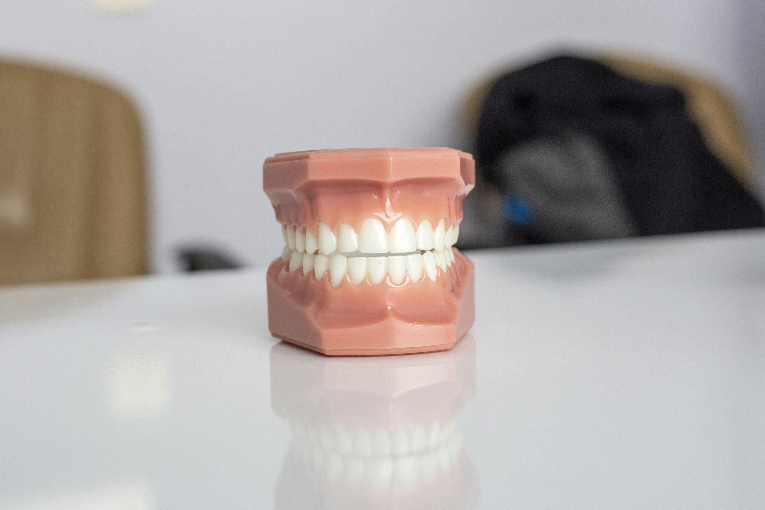 A dental model with a set of teeth on a white surface, with blurred background including a wooden object and black clothing.