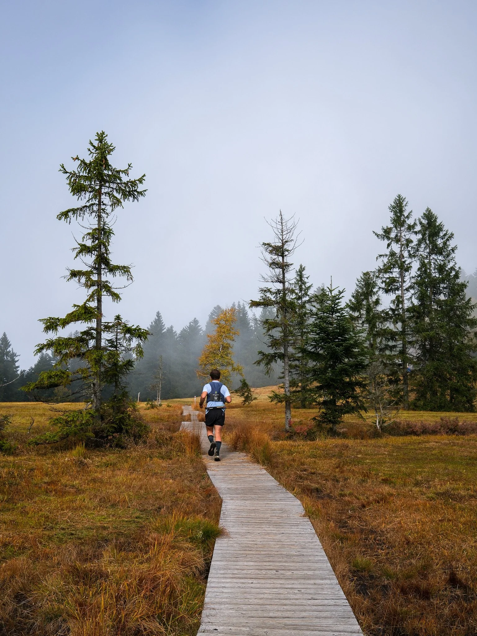 around schwarzenberg 2025